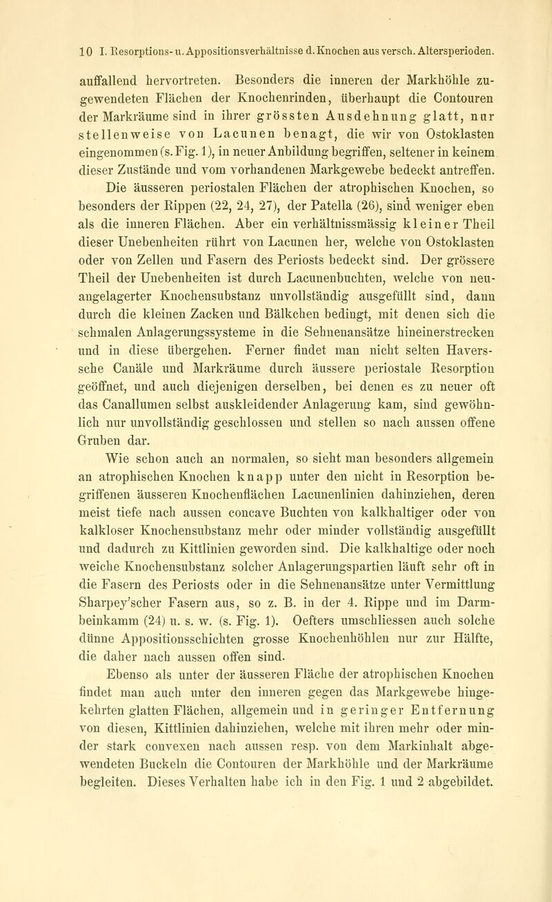 auffallend hervortreten. Besonders die inneren der Markhöhle zu- gewendeten Flächen der Knochenrinden, tiberhaupt die Contouren der Markräume sind in ihrer grössten Ausdehnung glatt, nur stellenweise von Lacunen benagt, die wir von Ostoklasten eingenommenes.Fig. 1), in neuer Anbildungbegriffen, seltener in keinem dieser Zustände und vom vorhandenen Markgewebe bedeckt antreffen. Die äusseren periostalen Flächen der atrophischen Knochen, so besonders der Rippen (22, 24, 27), der Patella (26), sind weniger eben als die inneren Flächen. Aber ein verhältnissmässig kleiner Theil dieser Unebenheiten rührt von Lacunen her, welche von Ostoklasten oder von Zellen und Fasern des Periosts bedeckt sind. Der grössere Theil der Unebenheiten ist durch Lacunenbuchten, welche von neu- angelagerter Knochensubstanz unvollständig ausgefüllt sind, dann durch die kleinen Zacken und Bälkchen bedingt, mit denen sich die schmalen Anlagerungssysteme in die Sehnenansätze hineinerstrecken und in diese übergehen. Ferner findet man nicht selten Havers- sche Canäle und Markräume durch äussere periostale Resorption geöffnet, und auch diejenigen derselben, bei denen es zu neuer oft das Canallumen selbst auskleidender Anlagerung kam, sind gewöhn- lich nur unvollständig geschlossen und stellen so nach aussen offene Gruben dar. Wie schon auch an normalen, so sieht man besonders allgemein an atrophischen Knochen knapp unter den nicht in Resorption be- griffenen äusseren Knochenflächen Lacunenlinien dahinziehen, deren meist tiefe nach aussen concave Buchten von kalkhaltiger oder von kalkloser Knochensubstanz mehr oder minder vollständig ausgefüllt und dadurch zu Kittlinien geworden sind. Die kalkhaltige oder noch weiche Knochensubstanz solcher Anlagerungspartien läuft sehr oft in die Fasern des Periosts oder in die Sehnenansätze unter Vermittlung Sharpey'scher Fasern aus, so z. B. in der 4. Rippe und im Darm- beinkamm (24) u. s. w. (s. Fig. 1). Oefters umschliessen auch solche dünne Appositionsschichten grosse Knochenhöhlen nur zur Hälfte, die daher nach aussen offen sind. Ebenso als unter der äusseren Fläche der atrophischen Knochen findet man auch unter den inneren gegen das Markgewebe hinge- kehrten glatten Flächen, allgemein und in geringer Entfernung von diesen, Kittlinien dahinziehen, welche mit ihren mehr oder min- der stark convexen nach aussen resp. von dem Markinhalt abge- wendeten Buckeln die Contouren der Markhöhle und der Markräume begleiten. Dieses Verhalten habe ich in den Fig. 1 und 2 abgebildet.