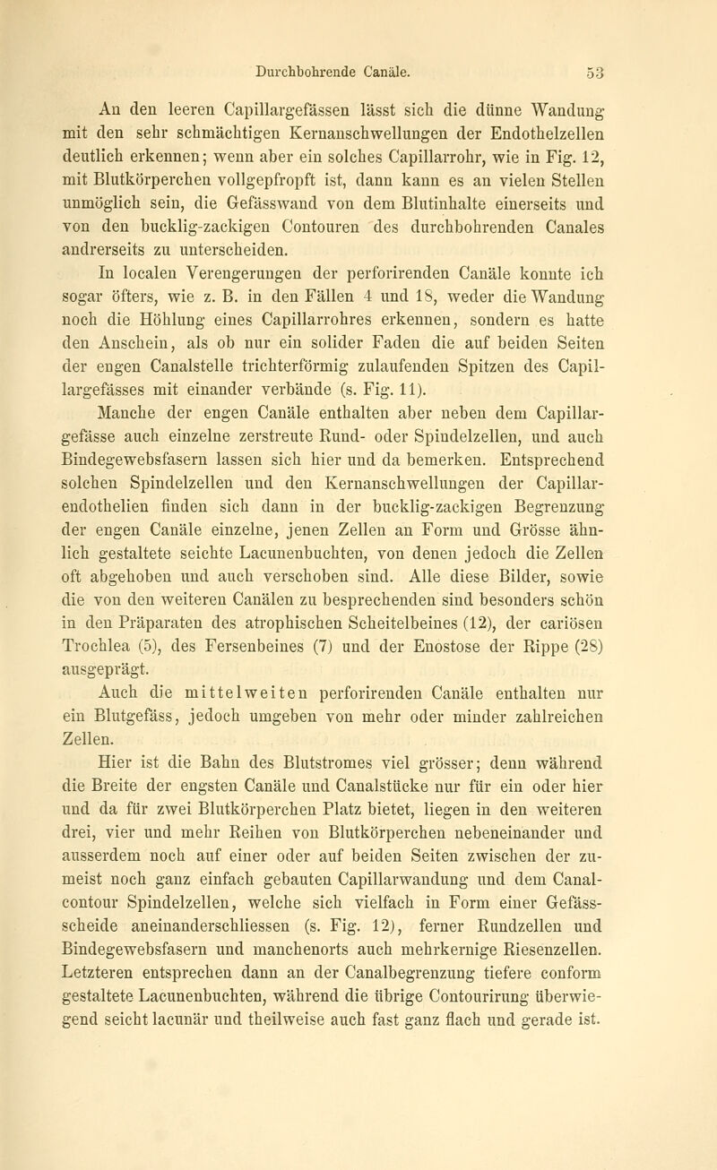 An den leeren Capillargefässen lässt sich die dünne Wandung mit den sehr schmächtigen Kernanschwellungen der Endothelzellen deutlich erkennen; wenn aber ein solches Capillarrohr, wie in Fig. 12, mit Blutkörperchen vollgepfropft ist, dann kann es an vielen Stellen unmöglich sein, die Gefässwand von dem Blutinhalte einerseits und von den bucklig-zackigen Contouren des durchbohrenden Canales andrerseits zu unterscheiden. In localen Verengerungen der perforirenden Canäle konnte ich sogar öfters, wie z. B. in den Fällen 4 und 18, weder die Wandung noch die Höhlung eines Capillarrohres erkennen, sondern es hatte den Anschein, als ob nur ein solider Faden die auf beiden Seiten der engen Canalstelle trichterförmig zulaufenden Spitzen des Capil- largefässes mit einander verbände (s. Fig. 11). Manche der engen Canäle enthalten aber neben dem Capillar- gefässe auch einzelne zerstreute Rund- oder Spindelzellen, und auch Bindegewebsfasern lassen sich hier und da bemerken. Entsprechend solchen Spindelzellen und den Kernanschwellungen der Capillar- endothelien finden sich dann in der bucklig-zackigen Begrenzung der engen Canäle einzelne, jenen Zellen an Form und Grösse ähn- lich gestaltete seichte Lacunenbuchten, von denen jedoch die Zellen oft abgehoben und auch verschoben sind. Alle diese Bilder, sowie die von den weiteren Canälen zu besprechenden sind besonders schön in den Präparaten des atrophischen Scheitelbeines (12), der cariösen Trochlea (5), des Fersenbeines (7) und der Enostose der Rippe (28) ausgeprägt. Auch die mittel weiten perforirenden Canäle enthalten nur ein Blutgefäss, jedoch umgeben von mehr oder minder zahlreichen Zellen. Hier ist die Bahn des Blutstromes viel grösser; denn während die Breite der engsten Canäle und Canalstücke nur für ein oder hier und da für zwei Blutkörperchen Platz bietet, liegen in den weiteren drei, vier und mehr Reihen von Blutkörperchen nebeneinander und ausserdem noch auf einer oder auf beiden Seiten zwischen der zu- meist noch ganz einfach gebauten Capillarwandung und dem Canal- contour Spindelzellen, welche sich vielfach in Form einer Gefäss- scheide aneinanderschliessen (s. Fig. 12), ferner Rundzellen und Bindegewebsfasern und manchenorts auch mehrkernige Riesenzellen. Letzteren entsprechen dann an der Canalbegrenzung tiefere conform gestaltete Lacunenbuchten, während die übrige Contourirung überwie- gend seicht lacunär und theilweise auch fast ganz flach und gerade ist.