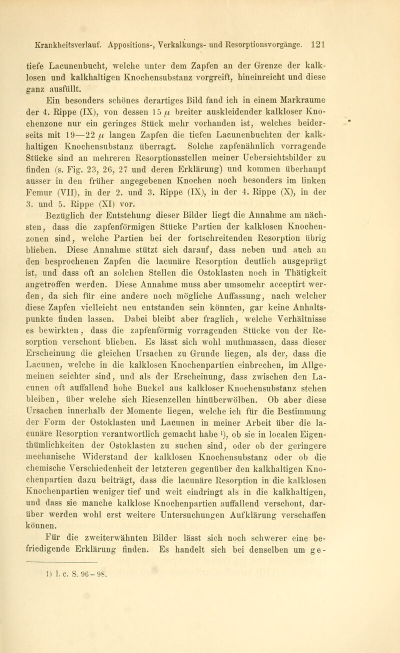 tiefe Lacunenbucht, welche unter dem Zapfen an der Grenze der kalk- losen und kalkhaltigen Knochensubstanz vorgreift, hineinreicht und diese ganz ausfüllt. Ein besonders schönes derartiges Bild fand ich in einem Markraume der 4. Rippe (IX), von dessen 15 (.i breiter auskleidender kalkloser Kno- chenzone nur ein geringes Stück mehr vorhanden ist, welches beider- seits mit 19—22 {.L langen Zapfen die tiefen Lacunenbuchten der kalk- haltigen Knochensubstanz überragt. Solche zapfenähnlich vorragende Stücke sind an mehreren Resorptionsstellen meiner Uebersichtsbilder zu finden (s. Fig. 23, 26, 27 und deren Erklärung) und kommen überhaupt ausser in den früher angegebenen Knochen noch besonders im linken Femur (VII), in der 2. und 3. Rippe (IX), in der 4. Rippe (X), in der 3. und 5. Rippe (XI) vor. Bezüglich der Entstehung dieser Bilder liegt die Annahme am näch- sten, dass die zapfenförmigen Stücke Partien der kalklosen Knochen- zonen sind, welche Partien bei der fortschreitenden Resorption übrig blieben. Diese Annahme stützt sich darauf, dass neben und auch au den besprochenen Zapfen die lacunäre Resorption deutlich ausgeprägt ist, und dass oft an solchen Stellen die Ostoklasten noch in Thätigkeit angetroffen werden. Diese Annahme muss aber umsomehr acceptirt wer- den, da sich für eine andere noch mögliche Auffassung, nach welcher diese Zapfen vielleicht neu entstanden sein könnten, gar keine Anhalts- punkte finden lassen. Dabei bleibt aber fraglich, welche Verhältnisse es bewirkten, dass die zapfenförmig vorragenden Stücke von der Re- sorption verschont blieben. Es lässt sich wohl muthmassen, dass dieser Erscheinung die gleichen Ursachen zu Grunde liegen, als der, dass die Lacunen, welche in die kalklosen Knochenpartien einbrechen, im Allge- meinen seichter sind, und als der Erscheinung, dass zwischen den La- cunen oft auffallend hohe Buckel aus kalkloser Knochensubstanz stehen bleiben, über welche sich Riesenzellen hinüberwölben. Ob aber diese Ursachen innerhalb der Momente liegen, welche ich für die Bestimmung der Form der Ostoklasten und Lacunen in meiner Arbeit über die la- cunäre Resorption verantwortlich gemacht habe i), ob sie in localen Eigen- thümlichkeiten der Ostoklasten zu suchen sind, oder ob der geringere mechanische Widerstand der kalklosen Knochensubstanz oder ob die chemische Verschiedenheit der letzteren gegenüber den kalkhaltigen Kno- chenpartien dazu beiträgt, dass die lacunäre Resorption in die kalklosen Knochenpartien weniger tief und weit eindringt als in die kalkhaltigen, und dass sie manche kalklose Knochenpartien auffallend verschont, dar- über werden wohl erst weitere Untersuchungen Aufklärung verschaffen können. Für die zweiterwähnten Bilder lässt sich noch schwerer eine be- friedigende Erklärung finden. Es handelt sich bei denselben um ge-
