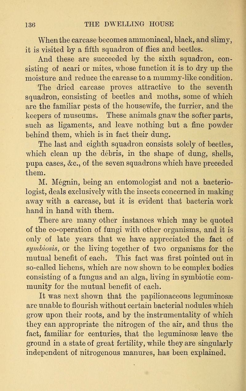 When the carcase becomes ammoniacal, black, and slimy, it is visited by a fifth squadron of flies and beetles. And these are succeeded by the sixth squadron, con- sisting of acari or mites, whose function it is to dry up the moisture and reduce the carcase to a mummy-like condition. The dried carcase proves attractive to the seventh squadron, consisting of beetles and moths, some of which are the familiar pests of the housewife, the furrier, and the keepers of museums. These animals gnaw the softer parts, such as ligaments, and leave nothing but a fine powder behind them, which is in fact their dung. The last and eighth squadron consists solely of beetles, which clean up the debris, in the shape of dung, shells, pupa cases, &c, of the seven squadrons which have preceded them. M. Megnin, being an entomologist and not a bacterio- logist, deals exclusively with the insects concerned in making away with a carcase, but it is evident that bacteria work hand in hand with them. There are many other instances which may be quoted of the co-operation of fungi with other organisms, and it is only of late years that we have appreciated the fact of symbiosis, or the living together of two organisms for the mutual benefit of each. This fact was first pointed out in so-called lichens, which are now shown to be complex bodies consisting of a fungus and an alga, living in symbiotic com- munity for the mutual benefit of each. It was next shown that the papilionaceous leguminosse are unable to flourish without certain bacterial nodules which grow upon their roots, and by the instrumentality of which they can appropriate the nitrogen of the air, and thus the fact, familiar for centuries, that the leguminosae leave the ground in a state of great fertility, while they are singularly independent of nitrogenous manures, has been explained.