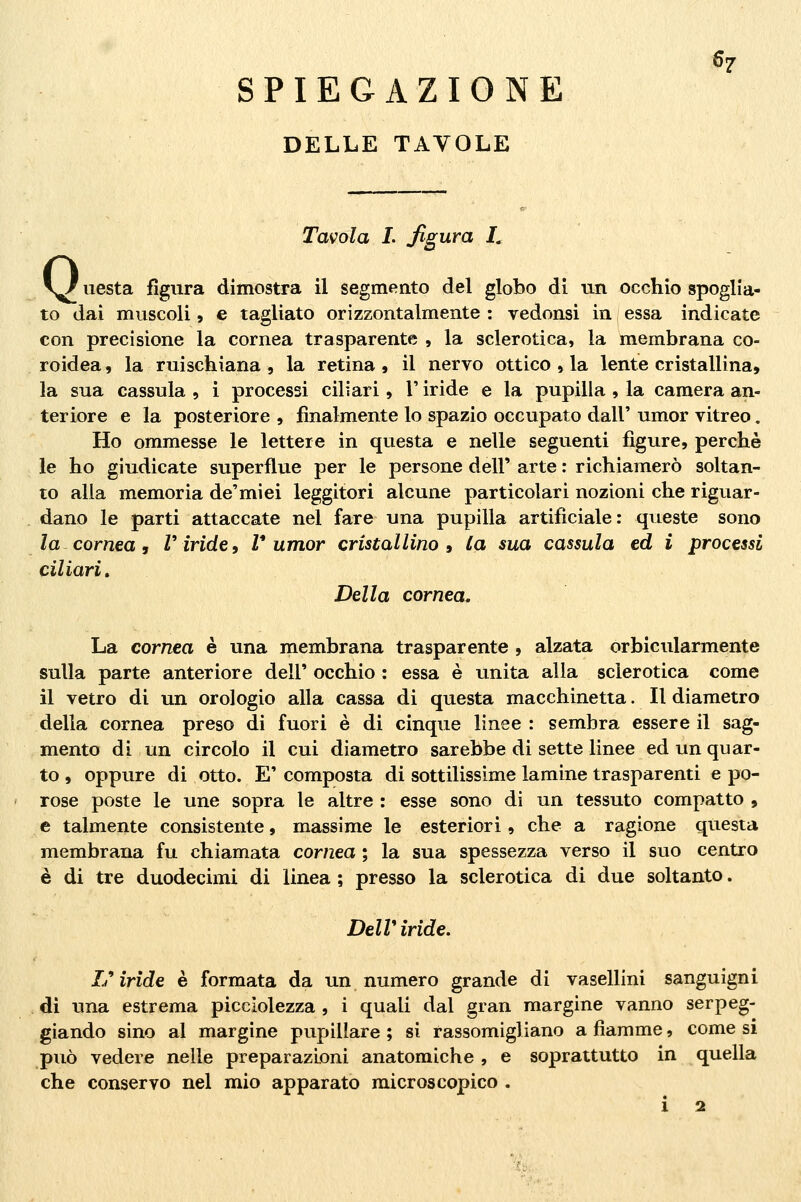 SPIEGAZIONE DELLE TAVOLE Tavola L figura L \f uesta figura dimostra il segmento del globo di un occhio spoglia- to dai muscoli, e tagliato orizzontalmente : vedonsi in essa indicate con precisione la cornea trasparente , la sclerotica, la membrana co- roidea , la ruischiana , la retina , il nervo ottico , la lente cristallina, la sua cassula , i processi ciliari, l'iride e la pupilla , la camera an- teriore e la posteriore , finalmente lo spazio occupato dall' umor vitreo, Ho ommesse le lettere in questa e nelle seguenti figure, perchè le ho giudicate superflue per le persone dell' arte : richiamerò soltan- to alla memoria de'miei leggitori alcune particolari nozioni che riguar- dano le parti attaccate nel fare una pupilla artificiale: queste sono la cornea, Viride, rumor cristallino 9 lo. sua cassula ed i processi ciliari. Della cornea. La cornea è una membrana trasparente , alzata orbicularmente sulla parte anteriore dell' occhio : essa è unita alla sclerotica come il vetro di un orologio alla cassa di questa macchinetta. Il diametro della cornea preso di fuori è di cinque linee : sembra essere il sag- mento di un circolo il cui diametro sarebbe di sette linee ed un quar- to , oppure di otto. E' composta di sottilissime lamine trasparenti e po- rose poste le une sopra le altre : esse sono di un tessuto compatto , e talmente consistente, massime le esteriori, che a ragione questa membrana fu chiamata cornea ; la sua spessezza verso il suo centro è di tre duodecimi di linea ; presso la sclerotica di due soltanto, DelV iride. 1/iride è formata da un numero grande di vasellini sanguigni di una estrema picclolezza , i quali dal gran margine vanno serpeg- giando sino al margine pupillare ; si rassomigliano a fiamme, come si può vedere nelle preparazioni anatomiche , e soprattutto in quella che conservo nel mio apparato microscopico .