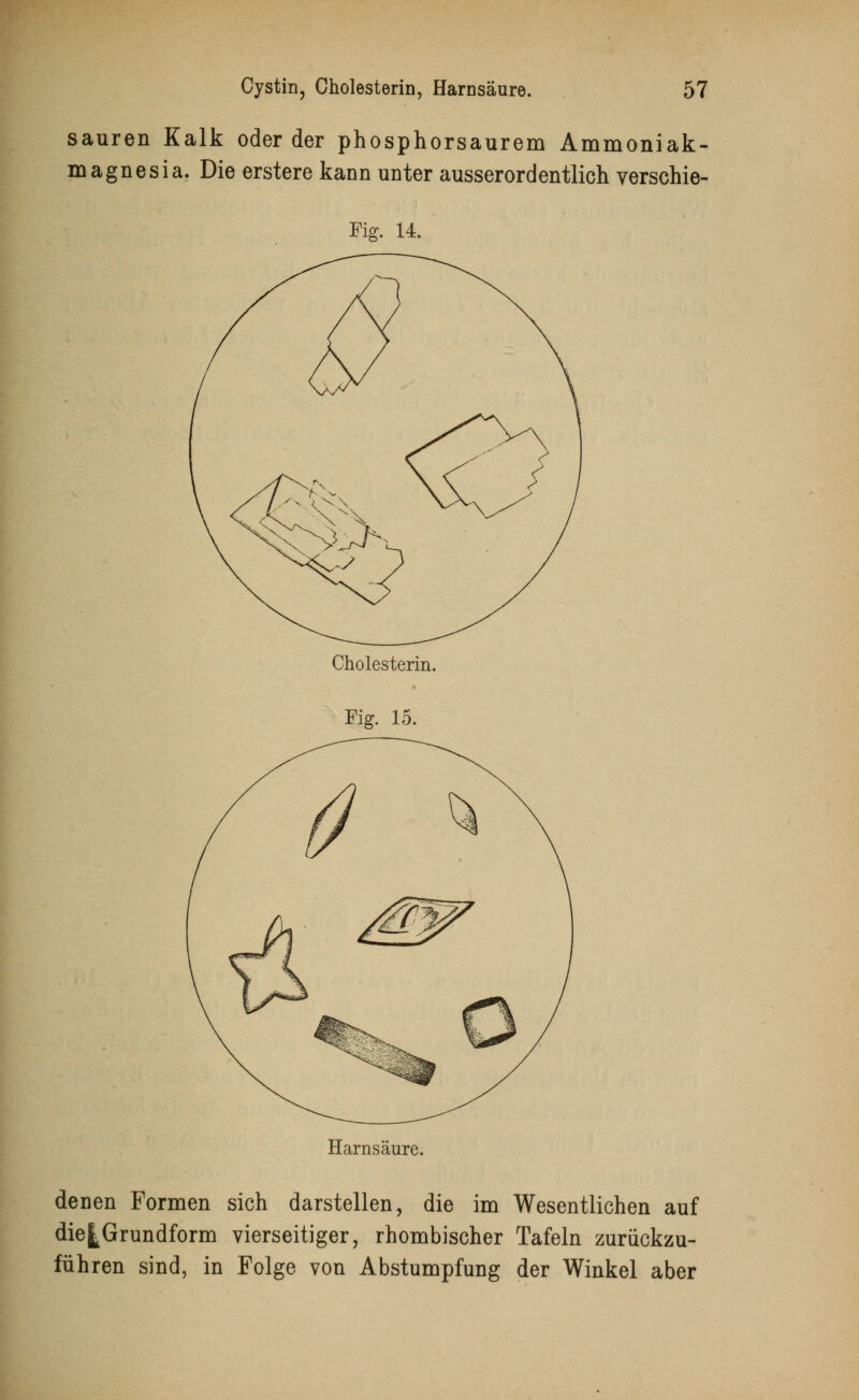 sauren Kalk oder der phosphorsaurem Ammoniak- magnesia. Die erstere kann unter ausserordentlich verschie- Fig. 14. Cholesterin. Fig. 15. Harnsäure. denen Formen sich darstellen, die im Wesentlichen auf die^Grundform vierseitiger, rhombischer Tafeln zurückzu- führen sind, in Folge von Abstumpfung der Winkel aber