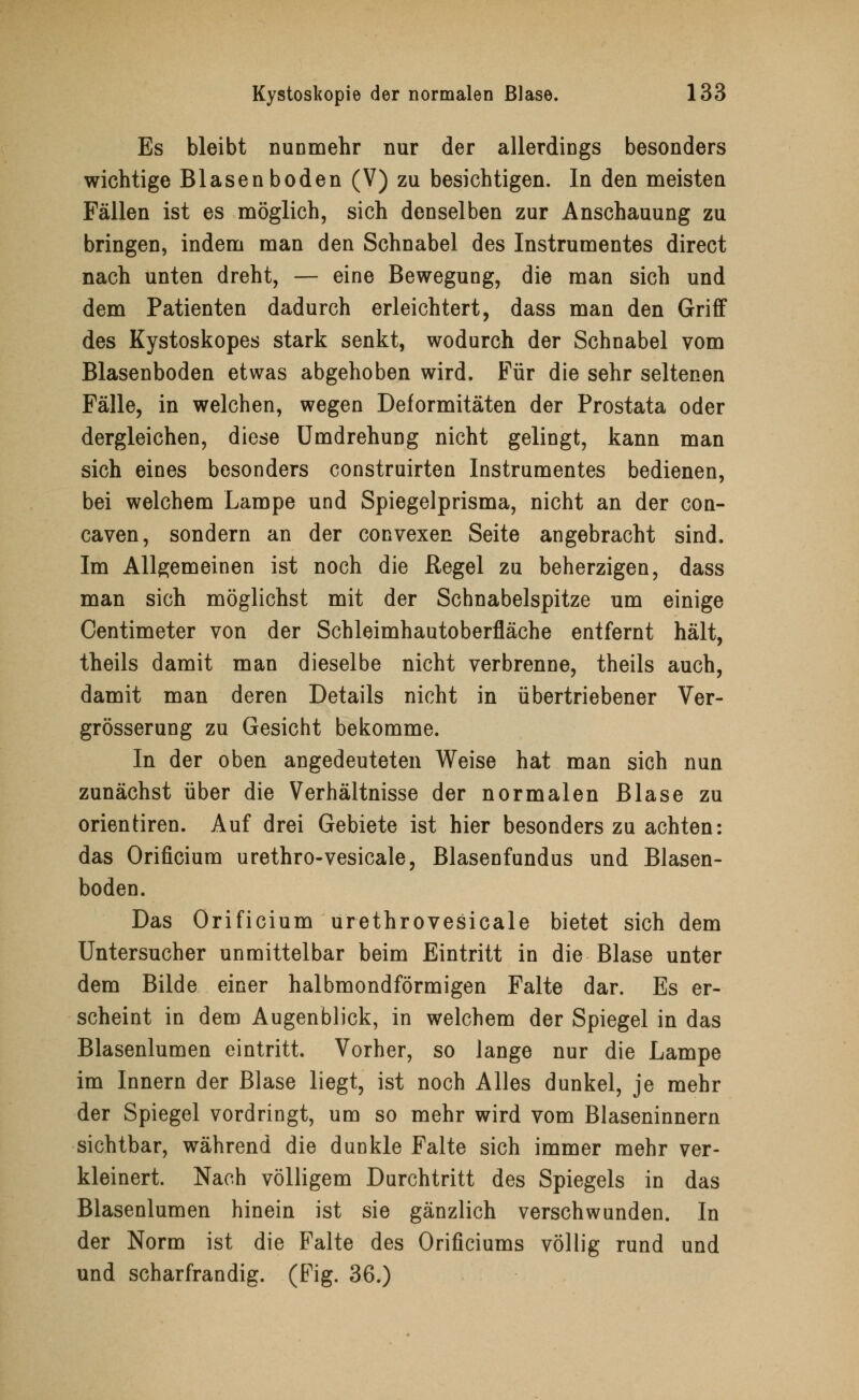 Es bleibt nunmehr nur der allerdings besonders wichtige Blasen boden (V) zu besichtigen. In den meisten Fällen ist es möglich, sich denselben zur Anschauung zu bringen, indem man den Schnabel des Instrumentes direct nach unten dreht, — eine Bewegung, die man sich und dem Patienten dadurch erleichtert, dass man den Griff des Kystoskopes stark senkt, wodurch der Schnabel vom Blasenboden etwas abgehoben wird. Für die sehr seltenen Fälle, in welchen, wegen Deformitäten der Prostata oder dergleichen, diese Umdrehung nicht gelingt, kann man sich eines besonders construirten Instrumentes bedienen, bei welchem Lampe und Spiegelprisma, nicht an der con- caven, sondern an der convexen Seite angebracht sind. Im Allgemeinen ist noch die Regel zu beherzigen, dass man sich möglichst mit der Schnabelspitze um einige Oentimeter von der Schleimhautoberfläche entfernt hält, theils damit man dieselbe nicht verbrenne, theils auch, damit man deren Details nicht in übertriebener Ver- grösserung zu Gesicht bekomme. In der oben angedeuteten Weise hat man sich nun zunächst über die Verhältnisse der normalen Blase zu orientiren. Auf drei Gebiete ist hier besonders zu achten: das Orificium urethro-vesicale, Blasenfundus und Blasen- boden. Das Orificium urethrovesicale bietet sich dem Untersucher unmittelbar beim Eintritt in die Blase unter dem Bilde einer halbmondförmigen Falte dar. Es er- scheint in dem Augenblick, in welchem der Spiegel in das Blasenlumen eintritt. Vorher, so lange nur die Lampe im Innern der Blase liegt, ist noch Alles dunkel, je mehr der Spiegel vordringt, um so mehr wird vom Blaseninnern sichtbar, während die dunkle Falte sich immer mehr ver- kleinert. Nach völligem Durchtritt des Spiegels in das Blasenlumen hinein ist sie gänzlich verschwunden. In der Norm ist die Falte des Orificiums völlig rund und und scharfrandig. (Fig. 36.)