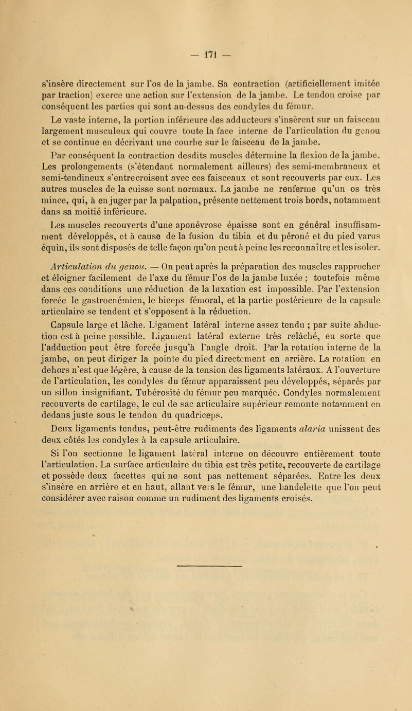 s'insère directomont sur Tos do la jamhc. Sa contraction (artificiellorncnt imitée par traction) exerce une action sur rcxtension do la jambe. Le tendon croise par conséquent les parties qui sont au-dessus des condyles du féinnr. Le vaste interne, la portion inférieure des adducteurs s'insèrent sur un faisceau largement musculeux qui couvre toute la face interne de l'articulation du genou et se continue en décrivant une courbe sur le faisceau de la jambe. Par conséquent la conti'action desdits muscles détermine la flexion de la jambe. Les prolongements (s'étendant normalement ailleurs) des semi-membraneux et semi-tendineux s'entrecroisent avec ces faisceaux et sont recouverts par eux. Les autres muscles de la cuisse sont normaux. La jambe ne renferme qu'un os très mince, qui, à en juger par la palpation, présente nettement trois bords, notan:iment dans sa moitié inférieure. Les muscles recouverts d'une aponévrose épaisse sont en général insuffisam- ment développés, et à cause de la fusion du tibia et du péroné et du pied varus équin, ils sont disposés de telle façon qu'on peut à peine les reconnaître etles isoler. Articulation du genou. — On peut après la préparation des muscles rapprocher et éloigner facilement de l'axe du fémur l'os de la jambe luxée ; toutefois même dans ces conditions une réduction de la luxation est impossible. Par l'extension forcée le gastrocnémien, le biceps fémoral, et la partie postérieure de la capsule articulaire se tendent et s'opposent à la réduction. Capsule large et lâche. Ligament latéral interne assez tendu ; par suite abduc- tion est à peine possible. Ligament latéral externe très relâché, en sorte que l'adduction peut être forcée jusqu'à l'angle droit. Par la rotation interne de la jambe, on peut diriger la pointe du pied directement en arrière. La rotation en dehors n'est que légère, à cause de la tension des ligaments latéraux. A l'ouverture de l'articulation, les condyles du fémur apparaissent peu développés, séparés par un sillon insignifiant. Tubérosité du fémur peu marquée. Condj'les normalement recouverts de cartilage, le cul de sac articulaire supérieur remonte notamment en dedans juste sous le tendon du quadriceps. Deux ligaments tendus, peut-être rudiments des ligaments alaria unissent des deux côtés les condyles à la capsule articulaire. Si l'on sectionne le ligament latéral interne on découvre entièrement toute l'articulation. La surface articulaire du tibia est très petite, recouverte de cartilage et possède deux facettes qui ne sont pas nettement séparées. Entre les deux s'insère en arrière et en haut, allant vêts le fémur, une bandelette que l'on peut considérer avec raison comme un rudiment des ligaments croisés.