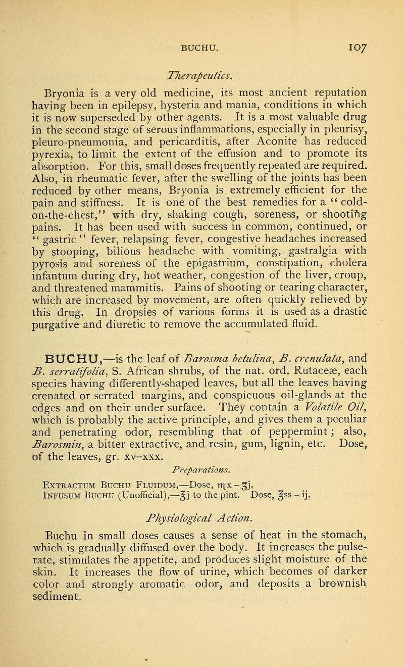 Therapeutics. Bryonia is a very old medicine, its most ancient reputation having been in epilepsy, hysteria and mania, conditions in which it is now superseded by other agents. It is a most valuable drug in the second stage of serous inflammations, especially in pleurisy, pleuro-pneumonia, and pericarditis, after Aconite has reduced pyrexia, to limit the extent of the effusion and to promote its absorption. For this, small doses frequently repeated are required. Also, in rheumatic fever, after the swelling of the joints has been reduced by other means, Bryonia is extremely efficient for the pain and stiffness. It is one of the best remedies for a ** cold- on-the-chest, with dry, shaking cough, soreness, or shootiftg pains. It has been used with success in common, continued, or  gastric fever, relapsing fever, congestive headaches increased by stooping, bilious headache with vomiting, gastralgia with pyrosis and soreness of the epigastrium, constipation, cholera infantum during dry, hot weather, congestion of the liver, croup, and threatened mammitis. Pains of shooting or tearing character, which are increased by movement, are often quickly reheved by this drug. In dropsies of various forms it is used as a drastic purgative and diuretic to remove the accumulated fluid. BUCHU,—is the leaf of Barosma betulina, B. crenulata, and B. serratifoHa, S. African shrubs, of the nat. ord. Rutaces, each species having differently-shaped leaves, but all the leaves having crenated or serrated margins, and conspicuous oil-glands at the edges and on their under surface. They contain a Volatile Oil, which is probably the active principle, and gives them a peculiar and penetrating odor, resembling that of peppermint; also, Barosmin, a bitter extractive, and resin, gum, lignin, etc. Dose, of the leaves, gr. xv-xxx. Preparations. ExTRACTUM BucHU Fluidum,—Dose, tTl.X - ^j. Infusum Buchu (^Unofficial),—^j to the pint. Dose, §ss - ij. Physiological Action. Buchu in small doses causes a sense of heat in the stomach, which is gradually diffused over the body. It increases the pulse- rate, stimulates the appetite, and produces slight moisture of the skin. It increases the flow of urine, which becomes of darker color and strongly aromatic odor, and deposits a brownish sediment.