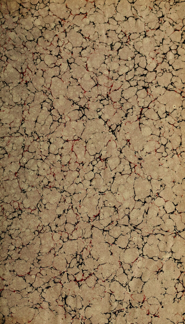 digitised image 3