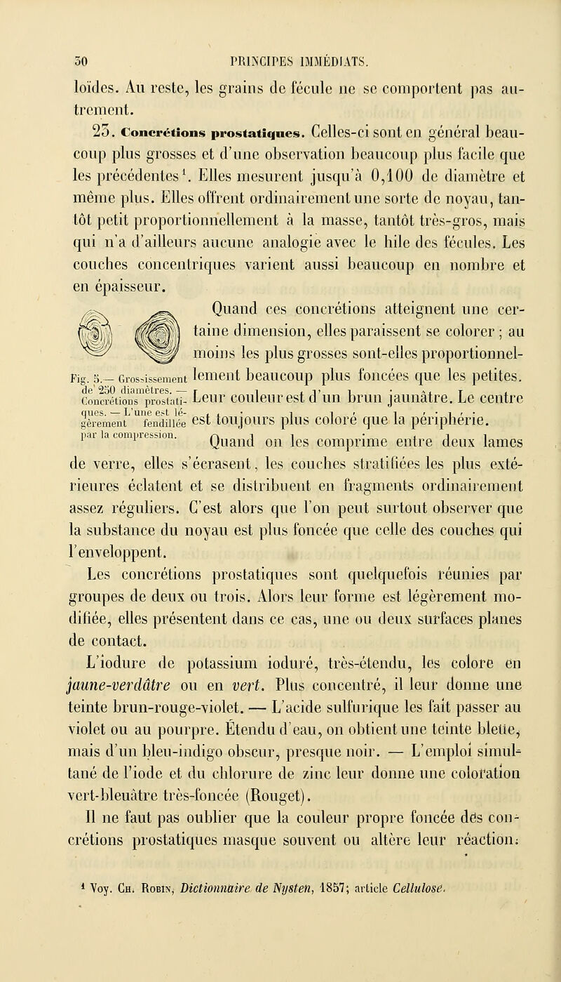 loïdes. Au reste, les grains de fécule ne se comporlent ])as au- trement. 25. Concrétions prostatiques. Celles-ci soul en général beau- coup plus grosses et d'une observation beaucoup plus facile que les précédentes ^ Elles mesurent jusqu'à 0,100 de diamètre et même plus. Elles offrent ordinairement une sorte de noyau, tan- tôt petit proportionnellement à la masse, tantôt très-gros, mais qui n'a d'ailleurs aucune analogie avec le hile des fécules. Les couches concentriques varient aussi beaucoup en nombre et en épaisseur. Quand ces concrétions atteignent une cer- taine dimension, elles paraissent se colorer ; au moins les plus grosses sont-elles proportionnel- Fig. 5.- Grossissement Icmcnt bcaucoup plus foucécs quc Ics petites. de' 250 diamètres. — r i xi'i ■ ^xt l Concrétions prosiati- Lcur coulcurest d uu bruu jaunâtre. Le centre gèrement 'fendillera 6st toujours plus coloré quc la périphérie. pai aoompiesbion. Quand OU Ics Comprime entre deux lames de verre, elles s'écrasent, les couches stratifiées les plus exté- rieures éclatent et se distribuent en fragments ordinairement assez réguhers. C'est alors que l'on peut surtout observer que la substance du noyau est plus foncée que celle des couches qui l'enveloppent. Les concrétions prostatiques sont quelquefois réunies par groupes de deux ou trois. Alors leur forme est légèrement mo- difiée, elles présentent dans ce cas, une ou deux surfaces planes de contact. L'iodure de potassium ioduré, très-étendu, les colore en ^aune-verdâtre ou en vert. Plus concentré, il leur donne une teinte brun-rouge-violet. — L'acide sulfurique les fait passer au violet ou au pourpre. Etendu d'eau, on obtient une teinte bletie^ mais d'un bleu-indigo obscur, presque noir. — L'emploi simul^ tané de l'iode et du chlorure de zinc leur donne une coloration vert-bleuâtre très-foncée (Rouget). Il ne faut pas oubher que la couleur propre foncée des con- crétions prostatiques masque souvent ou altère leur réaction;