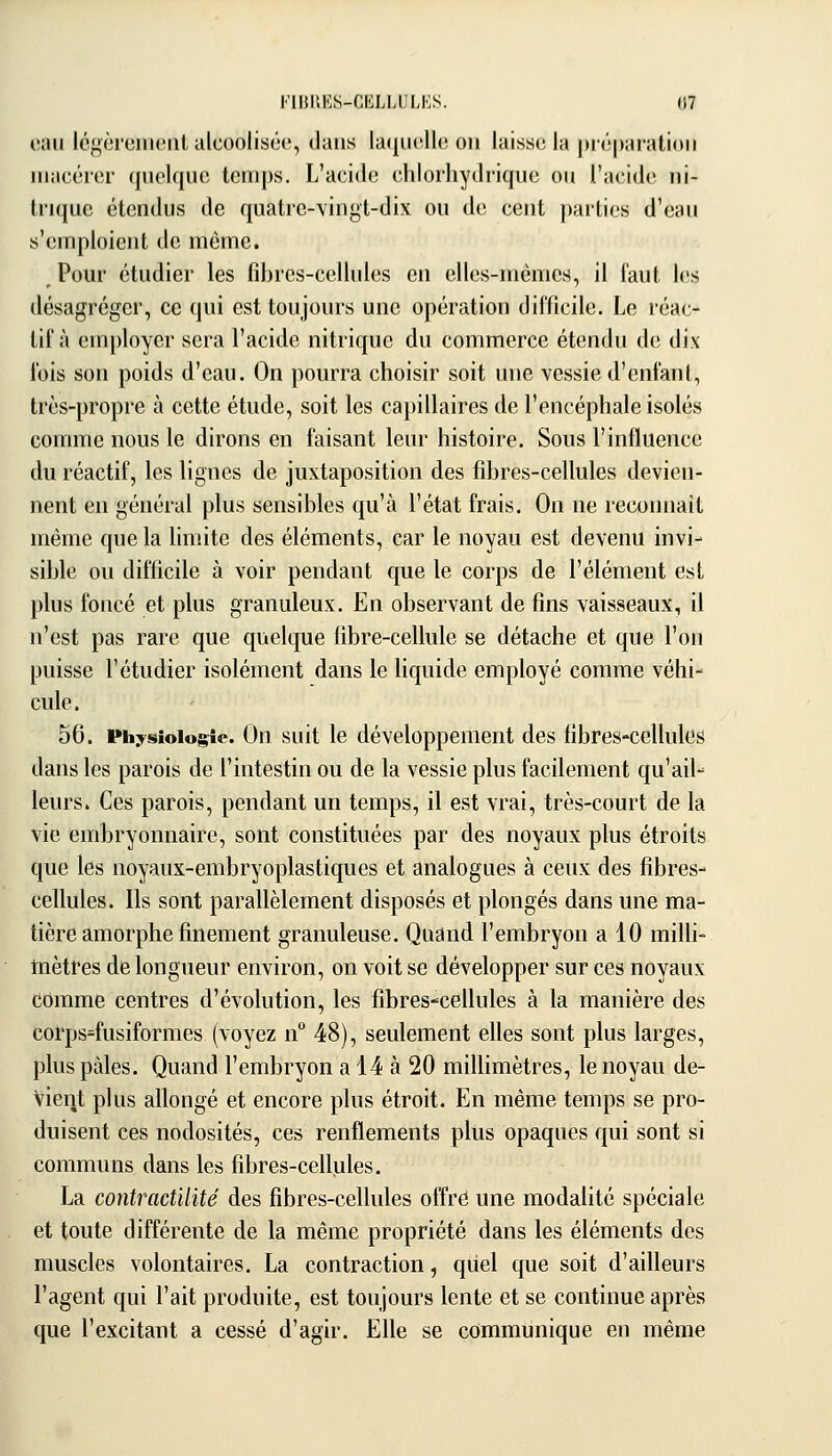 o;iii Icgcremeiil alcoolisw!, ilans la(|U(îlle on laisse la préparation macérer (juelque tcnij)s. L'aei(l(! ehioihydiicpie on l'acide ni- trique étendus de quatre-vingt-dix ou de cent ])arlics d'eau s'emploient de même. Pour étudier les fdjrcs-cellules en elles-mêmes, il Tant les désagréger, ce qui est toujours une opération difficile. Le réac- tif à employer sera l'acide nitrique du commerce étendu de dix fois son poids d'eau. On pourra choisir soit une vessie d'enfant, très-propre à cette étude, soit les capillaires de l'encéphale isolés connue nous le dirons en faisant leur histoire. Sous l'influence du réactif, les lignes de juxtaposition des fibres-cellules devien- nent en général plus sensibles qu'à l'état frais. On ne reconnaît même que la limite des éléments, car le noyau est devenu invi- sible ou difficile à voir pendant que le corps de l'élément est plus foncé et plus granuleux. En observant de fins vaisseaux, il n'est pas rare que quelque fibre-cellule se détache et que l'on puisse l'étudier isolément dans le liquide employé comme véhi- cule. 56. Ph^rsioiugie. On suit le développement des fibres-cellulcs dans les parois de l'intestin ou de la vessie plus facilement qu'ail-^ leurs. Ces parois, pendant un temps, il est vrai, très-court de la vie embryonnaire, sont constituées par des noyaux plus étroits que les noyaux-embryoplastiques et analogues à ceux des fibres- cellules. Ils sont parallèlement disposés et plongés dans une ma- tière amorphe finement granuleuse. Quand l'embryon a 10 milh- inètres de longueur environ, on voit se développer sur ces noyaux comme centres d'évolution, les fibres-cellules à la manière des corps'fusiformes (voyez n 48), seulement elles sont plus larges, plus pâles. Quand l'embryon a 14 à 20 millimètres, le noyau de- vient plus allongé et encore plus étroit. En même temps se pro- duisent ces nodosités, ces renflements plus opaques qui sont si communs dans les fibres-cellules. La contractUité des fibres-cellules offre une modalité spéciale et toute différente de la même propriété dans les éléments des muscles volontaires. La contraction, quel que soit d'ailleurs l'agent qui l'ait produite, est toujours lente et se continue après que l'excitant a cessé d'agir. Elle se communique en même