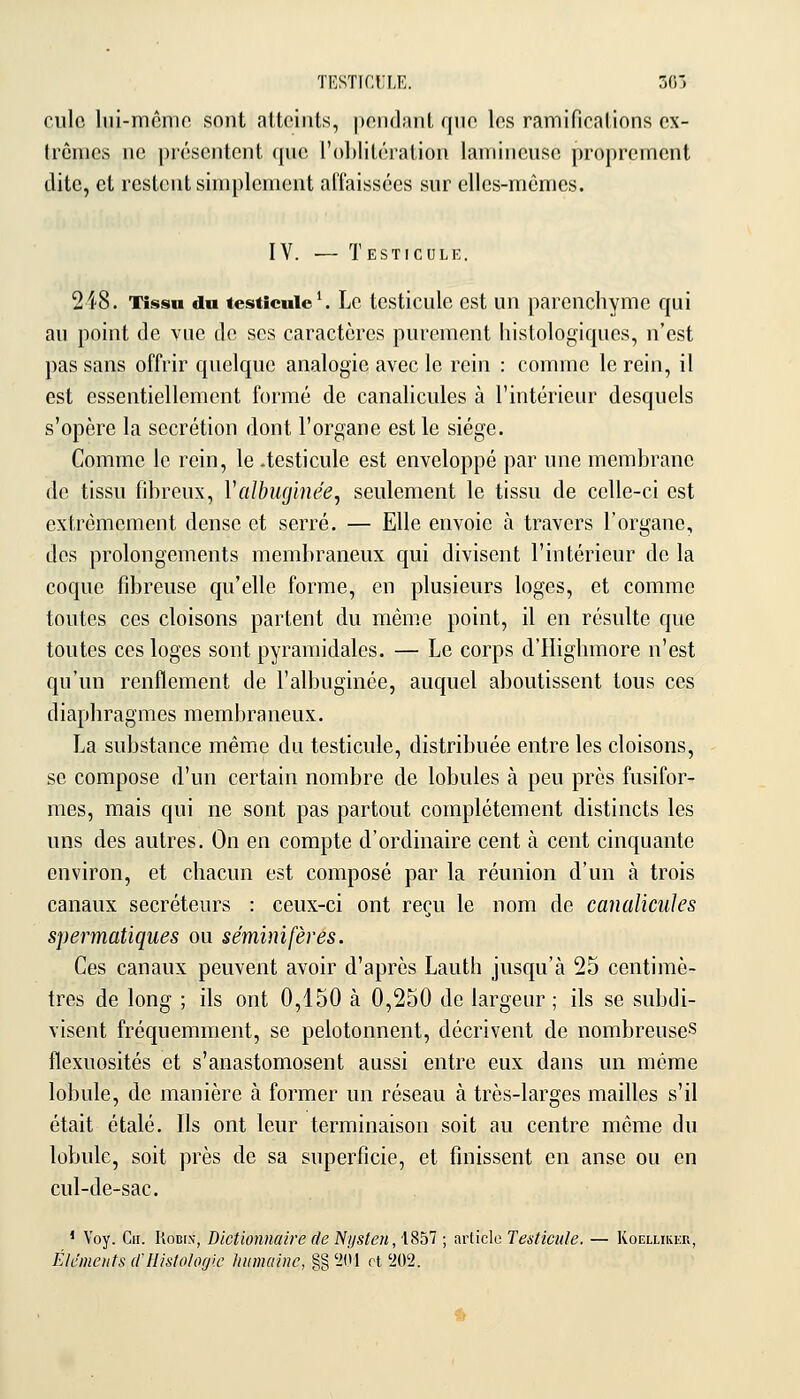 TESTICCLE. 305 culc liii-mcmo sont atteints, pondant qno les ramificalions ex- trêmes ne présentent qne l'oljlitération lamineusc proprement dite, et restent simplement affaissées sur elles-mêmes. IV. — Testicule. 248. Tissu du testicule \ Lc tcsticulc est un parenchyme qui an point de vue de ses caractères pnreinent histologiques, n'est pas sans offrir qnelquc analogie avec le rein : comme le rein, il est essentiellement formé de canalicules à l'intérieur desquels s'opère la sécrétion dont l'organe est le siège. Comme le rein, le .testicule est enveloppé par une membrane de tissu fibreux, Vcdbwjinée, seulement le tissu de celle-ci est extrêmement dense et serré. — Elle envoie à travers l'organe, des prolongements membraneux qui divisent l'intérieur de la coque fibreuse qu'elle forme, en plusieurs loges, et comme toutes ces cloisons partent du même point, il en résulte que toutes ces loges sont pyramidales. — Le corps d'Highmore n'est qu'un renflement de l'albuginée, auquel aboutissent tous ces diaphragmes membraneux. La substance même du testicule, distribuée entre les cloisons, se compose d'un certain nombre de lobules à peu près fusifor- mes, mais qui ne sont pas partout complètement distincts les uns des autres. On en compte d'ordinaire cent à cent cinquante environ, et chacun est composé par la réunion d'un à trois canaux sécréteurs : ceux-ci ont reçu le nom de canalicules spermatiques ou séminifères. Ces canaux peuvent avoir d'après Lauth jusqu'à 25 centimè- tres de long ; ils ont 0,150 à 0,250 de largeur ; ils se subdi- visent fréquemment, se pelotonnent, décrivent de nombreuse^ flexuosités et s'anastomosent aussi entre eux dans un même lobule, de manière à former un réseau à très-larges mailles s'il était étalé. Ils ont leur terminaison soit au centre même du lobule, soit près de sa superficie, et finissent en anse ou en cul-de-sac. ' Voy. Cii. RociN, Dictionnaire de Nijsten,\'èh'l ; article Testicule. — Koellikkr, Éléments crHistologie humaine, g§ '201 et '202.