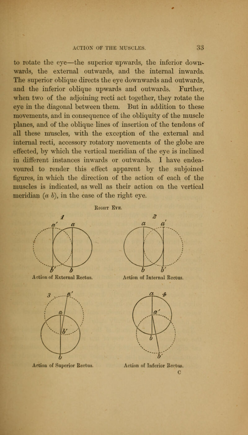 to rotate the eye—the superior upwards, the inferior down- wards, the external outwards, and the internal inwards. The superior oblique directs the eye downwards and outwards, and the inferior oblique upwards and outwards. Further, when two of the adjoining recti act together, they rotate the eye in the diagonal between them. But in addition to these movements, and in consequence of the obliquity of the muscle planes, and of the oblique lines of insertion of the tendons of all these muscles, with the exception of the external and internal recti, accessory rotatory movements of the globe are effected, by which the vertical meridian of the eye is inclined in different instances inwards or outwards. I have endea- voured to render this effect apparent by the subjoined figures, in wluch the direction of the action of each of the muscles is indicated, as well as their action on the vertical meridian (a b), in the case of the right eye. Right Eye. V b Action of External Rectus. b V Action of Internal Rectus. Action of Superior Ri ctat. Action f Inferior Rectus. C