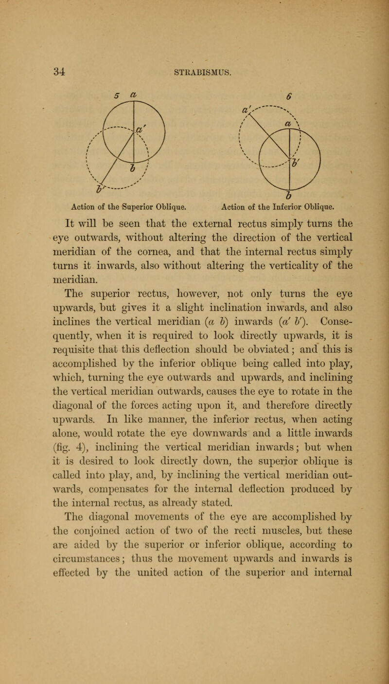 5 CI a,-' Action of the Superior Oblique. Action of the Inferior Oblique. It will be seen that the external rectus simply turns the eye outwards, without altering the direction of the vertical meridian of the cornea, and that the internal rectus simply turns it inwards, also without altering the vertically of the meridian. The superior rectus, however, not only turns the eye upwards, but gives it a slight inclination inwards, and also inclines the vertical meridian (a b) inwards {ct b'). Conse- quently, when it is required to look directly upwards, it is requisite that this deflection should be obviated; and this is accomplished by the inferior oblique being called into play, which, turning the eye outwards and upwards, and inclining the vertical meridian outwards, causes the eye to rotate in the diagonal of the forces acting upon it, and therefore directly upwards. In like manner, the inferior rectus, when acting alone, would rotate the eye downwards and a little inwards (fig. 4), inclining the vertical meridian inwards; but when it is desired to look directly down, the superior oblique is called into play, and, by inclining the vertical meridian out- wards, compensates for the internal deflection produced by the internal rectus, as already stated. The diagonal movements of the eye are accomplished by the conjoined action of two of the recti muscles, but these are aided by the superior or inferior oblique, according to circumstances; thus the movement upwards and inwards is effected by the united action of the superior and internal