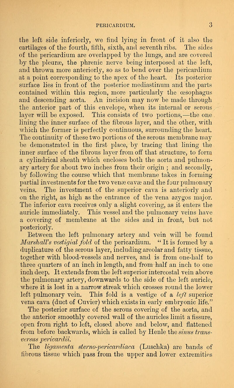 PERICARDIUM. 6 the left side inferiorly, we find lying in front of it also the cartilages of the fourth, fifth, sixth, and seventh ribs. The sides of the pericardium are overlapped by the lungs, and are covered by the pleurse, the phrenic nerve being interposed at the left, and thrown more anteriorly, so as to bend over the pericardium ab a point corresponding to the apex of the heart. Its posterior surface lies in front of the posterior mediastinum and the parts contained within this region, more particularly the oesophagus and descending aorta. An incision may now be made through the anterior part of this envelope, when its internal or serous layer will be exposed. This consists of two portions,—the one . lining the inner surface of the fibrous layer, and the other, with which the former is perfectly continuous, surrounding the heart. The continuity of these two portions of the serous membrane may be demonstrated in the first place, by tracing that lining the inner surface of the fibrous layer from off that structure, to form a cylindrical sheath which encloses both the aorta and pulmon- ary artery for about two inches from their origin ; and secondly, by following the course which that membrane takes in forming- partial investments for the two vense cavae and the four pulmonary veins. The investment of the superior cava is anteriorly and on the right, as high as the entrance of the vena azygos major. The inferior cava receives only a slight covering, as it enters the auricle immediately. This vessel and the pulmonary veins have a covering of membrane at the sides and in front, but not posteriorly. Between the left pulmonary artery and vein will be found Marshall's vestigial fold of the pericardium.  It is formed by a duplicature of the serous layer, including areolar and fatty tissue, together with blood-vessels and nerves, and is from one-half to three quarters of an inch in length, and from half an inch to one inch deep. It extends from the left superior intercostal vein above the pulmonary artery, downwards to the side of the left auricle, where it is lost in a narrow streak which crosses round the lower left pulmonary vein. This fold is a vestige of a left superior vena cava (duct of Cuvier) which exists in early embryonic life. The posterior surface of the serous covering of the aorta, and the anterior smoothly covered wall of the auricles limit a fissure, open from right to left, closed above and below, and flattened from before backwards, which is called by Henle the sinus trans- versus pericardii. The ligamenta sterno-pericardiaca (Luschka) are bands of fibrous tissue which pass from the upper and lower extremities