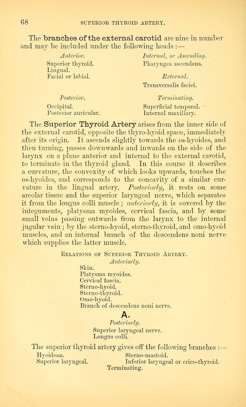 The branches of the external carotid are nine in number and may be included under the following heads :— Anterior. Internal, or Ascending. Superior thyroid. Pharyngea ascendens. Lingual. Facial or labial. External. Transversalis faciei. Posterior. Terminating. Occipital. Superficial temporal. ■ Posterior auricular. Iuternal maxillary. The Superior Thyroid Artery arises from the inner side of the external carotid, opposite the thyro-hyoid space, immediately after its origin. It ascends slightly towards the os-hyoides, and then turning, passes downwards and inwards on the side of the larynx on a plane anterior and internal to the external carotid, to terminate in the thyroid gland. In this course it describes a curvature, the convexity of which looks upwards, touches the os-hyoides, and corresponds to the concavity of a similar cur- vature in the lingual artery. Posteriorly, it rests on some areolar tissue and the superior laryngeal nerve, which separates it from the longus colli muscle; anteriorly, it is covered by the integuments, platysma myoides, cervical fascia, and by some small veins passing outwards from the larynx to the internal jugular vein ; by the sterno-byoid, sterno-thyroid, and omo-hyoid muscles, and an internal branch of the descendens noni nerve which supplies the latter muscle. Relations of Superior Thyroid Artery. Anteriorly. Skiu. Platysma myoides. Cervical fascia. Sterno-hyoid. Sterno-thyroid. Omo-hyoid. Branch of descendens noni nerve. A. Posteriorly. Superior laryngeal nerve. Longus colli. The superior thyroid artery gives off the following branches :— Hyoidean. Sterno-mastoid. Superior laryngeal. Inferior laryngeal or crico-thyroid. Terminating.