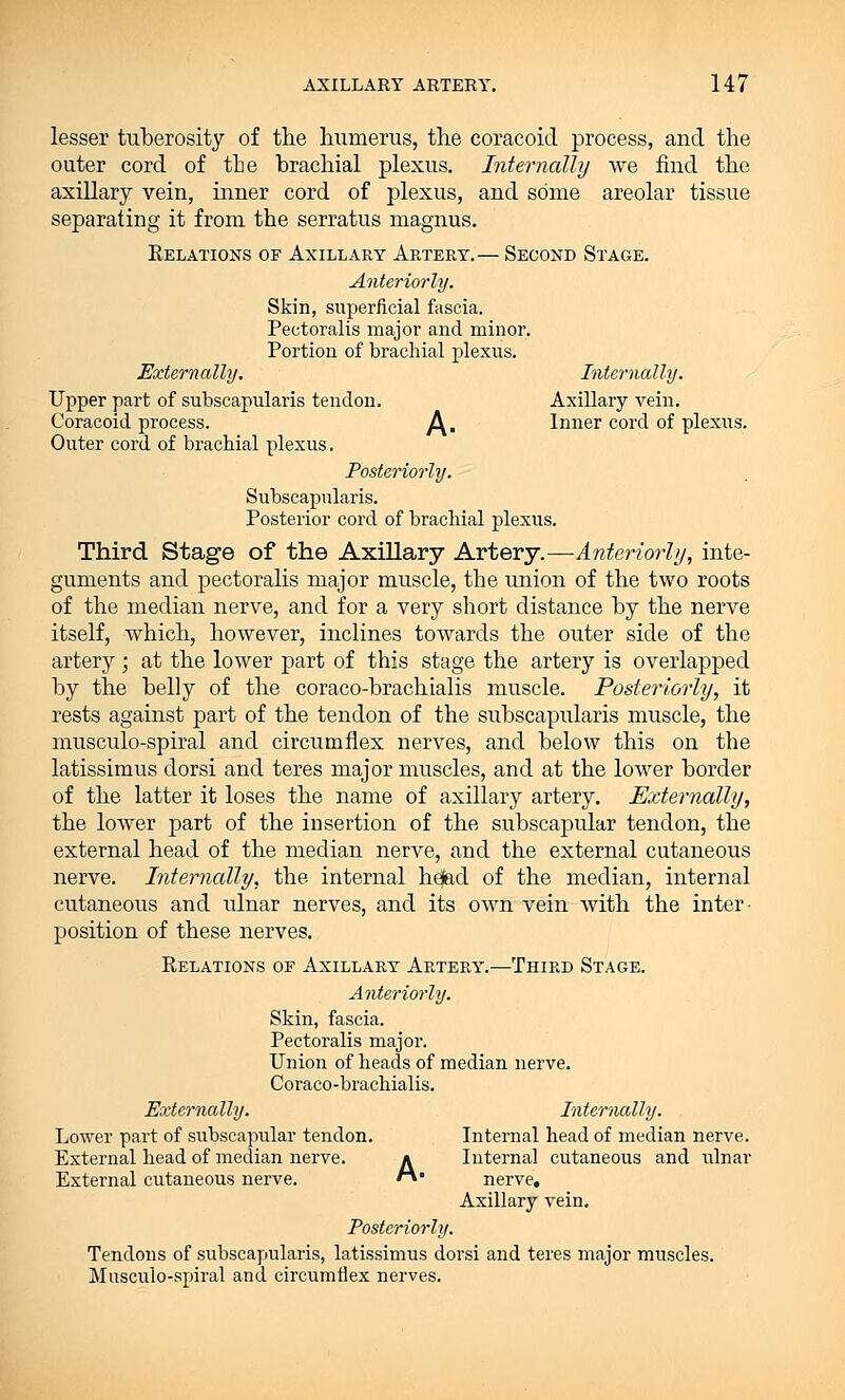 lesser tuberosity of the humerus, the coracoid process, and the outer cord of the brachial plexus. Internally we find the axillary vein, inner cord of plexus, and some areolar tissue separating it from the serratus magnus. Relations of Axillary Artery.— Second Stage. Anteriorly. Skin, superficial fascia. Pectoralis major and minor. Portion of brachial plexus. Externally. Internally. Upper part of subscapularis tendon. Axillary vein. Coracoid process. A^ Inner cord of plexus. Outer cord of brachial plexus. Posteriorly. Subscapularis. Posterior cord of brachial plexus. Third Stage of the Axillary Artery.—Anteriorly, inte- guments and pectoralis major muscle, the union of the two roots of the median nerve, and for a very short distance by the nerve itself, which, however, inclines towards the outer side of the artery ; at the lower part of this stage the artery is overlapped by the belly of the coraco-brachialis muscle. Posteriorly, it rests against part of the tendon of the subscapularis muscle, the musculo-spiral and circumflex nerves, and below this on the latissimus dorsi and teres major muscles, and at the lower border of the latter it loses the name of axillary artery. Externally, the lower part of the insertion of the subscapular tendon, the external head of the median nerve, and the external cutaneous nerve. Internally, the internal hejad of the median, internal cutaneous and ulnar nerves, and its own vein with the inter- position of these nerves. Relations of Axillary Artery.—Third Stage. Anteriorly. Skin, fascia. Pectoralis major. Union of heads of median nerve. Coraco-brachialis. Externally. Internally. Lower part of subscapular tendon. Internal head of median nerve. External head of median nerve. a Internal cutaneous and ulnar External cutaneous nerve. • nerve. Axillary vein. Posteriorly. Tendons of subscapularis, latissimus dorsi and teres major muscles. Musculo-spiral and circumflex nerves.