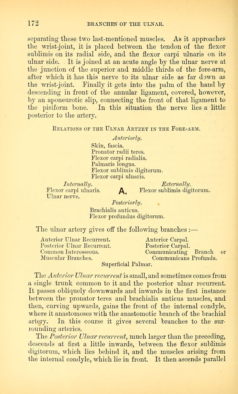 separating these two last-mentioned muscles. As it approaches the wrist-joint, it is placed between the tendon of the flexor suhlimis on its radial side, and the flexor carpi ulnaris on its ulnar side. It is joined at an acute angle by the ulnar nerve at the junction of the superior and middle thirds of the fore-arm, after which it has this nerve to its ulnar side as far down as the wrist-joint. Finally it gets into the palm of the hand by descending in front of the annular ligament, covered, however, by an aponeurotic slip, connecting the front of that ligament to the pisiform bone. In this situation the nerve lies a little posterior to the artery. Relations of the Ulnar Artery in the Fore-arm. Anteriorly. Skin, fascia. Pronator radii teres. Flexor carpi radialis. Palmaris longus. Flexor sublimis digitorum. Flexor carpi ulnaris. Internally. Externally. Flexor carpi ulnaris. f^ Flexor sublimis digitorum. Ulnar nerve. Posteriorly. Brachialis anticus. Flexor profundus digitorum. The ulnar artery gives off the following branches :— Anterior Ulnar Recurrent. Anterior Carpal. Posterior Ulnar Recurrent. Posterior Carpal. Common Interosseous. Communicating Branch or Muscular Branches. Communicans Profunda. Superficial Palmar. The Anterior Ulnar recurrent is small, and sometimes comes from a single trunk common to it and the posterior ulnar recurrent. It passes obliquely downwards and inwards in the first instance between the pronator teres and brachialis anticus muscles, and then, curving upwards, gains the front of the internal condyle, where it anastomoses with the anastomotic branch of the brachial artery. In this course it gives several branches to the sur- rounding arteries. The Posterior Ulnar recurrent, much larger than the preceding, descends at first a little inwards, between the flexor sublimis digitorum, which lies behind it, and the muscles arising from the internal condyle, which lie in front. It then ascends parallel