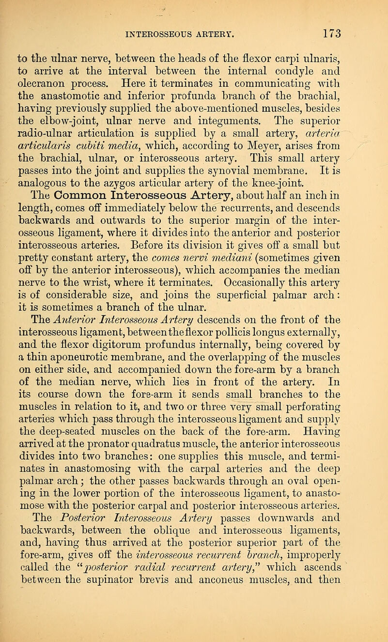 to the ulnar nerve, between the heads of the flexor carpi ulnaris, to arrive at the interval between the internal condyle and olecranon process. Here it terminates in communicating with the anastomotic and inferior profunda branch of the brachial, having previously supplied the above-mentioned muscles, besides the elbow-joint, ulnar nerve and integuments. The superior radio-ulnar articulation is supplied by a small artery, arteria. articularis cubiti media, which, according to Meyer, arises from the brachial, ulnar, or interosseous artery. This small artery passes into the joint and supplies the synovial membrane. It is analogous to the azygos articular artery of the knee-joint. The Common Interosseous Artery, about half an inch in length, comes off immediately below the recurrents, and descends backwards and outwards to the superior margin of the inter- osseous ligament, where it divides into the anterior and posterior interosseous arteries. Before its division it gives off a small but pretty constant artery, the comes nervi mediani (sometimes given off by the anterior interosseous), which accompanies the median nerve to the wrist, where it terminates. Occasionally this artery is of considerable size, and joins the superficial palmar arch: it is sometimes a branch of the ulnar. The Anterior Interosseous Artery descends on the front of tbe interosseous ligament, between the flexor pollicis longus externally, and the flexor digitorum profundus internally, being covered by a thin aponeurotic membrane, and the overlapping of the muscles on either side, and accompanied down the fore-arm by a branch of the median nerve, which lies in front of the artery. In its course down the fore-arm it sends small branches to the muscles in relation to it, and two or three very small perforating arteries which pass through the interosseous ligament and supply the deep-seated muscles on the back of the fore-arm. Having arrived at the pronator quadratus muscle, the anterior interosseous divides into two branches: one supplies this muscle, and termi- nates in anastomosing with the carpal arteries and the deep palmar arch; the other passes backwards through an oval open- ing in the lower portion of the interosseous ligament, to anasto- mose with the posterior carpal and posterior interosseous arteries. The Posterior Interosseous Artery passes downwards and backwards, between the oblique and interosseous ligaments, and, having thus arrived at the posterior superior part of the fore-arm, gives off the interosseous recurrent branch, improperly called the posterior radial recurrent artery which ascends between the supinator brevis and anconeus muscles, and then