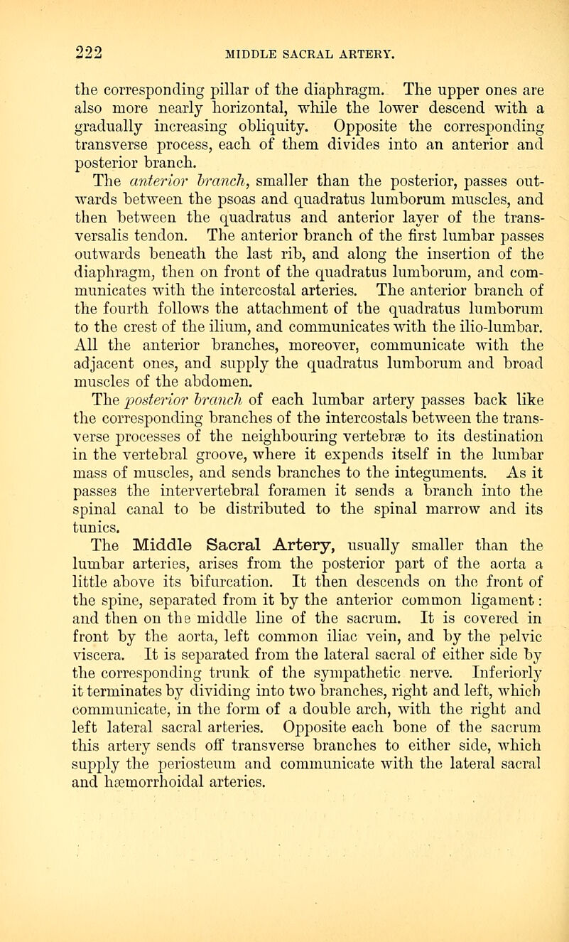 the corresponding pillar of the diaphragm. The upper ones are also more nearly horizontal, while the lower descend with a gradually increasing obliquity. Opposite the corresponding transverse process, each of them divides into an anterior and posterior branch. The anterior branch, smaller than the posterior, passes out- wards between the psoas and quadratus lumborum muscles, and then between the quadratus and anterior layer of the trans- versalis tendon. The anterior branch of the first lumbar passes outwards beneath the last rib, and along the insertion of the diaphragm, then on front of the quadratus lumborum, and com- municates with the intercostal arteries. The anterior branch of the fourth follows the attachment of the quadratus lumborum to the crest of the ilium, and communicates with the ilio-lumbar. All the anterior branches, moreover, communicate with the adjacent ones, and supply the quadratus lumborum and broad muscles of the abdomen. The posterior branch of each lumbar artery passes back like the corresponding branches of the intercostals between the trans- verse processes of the neighbouring vertebrse to its destination in the vertebral groove, where it expends itself in the lumbar mass of muscles, and sends branches to the integuments. As it passes the intervertebral foramen it sends a branch into the spinal canal to be distributed to the spinal marrow and its tunics. The Middle Sacral Artery, usually smaller than the lumbar arteries, arises from the posterior part of the aorta a little above its bifurcation. It then descends on the front of the spine, separated from it by the anterior common ligament: and then on the middle line of the sacrum. It is covered in front by the aorta, left common iliac vein, and by the pelvic viscera. It is separated from the lateral sacral of either side by the corresponding trunk of the sympathetic nerve. Inferiorly it terminates by dividing into two branches, right and left, which communicate, in the form of a double arch, with the right and left lateral sacral arteries. Opposite each bone of the sacrum this artery sends off transverse branches to either side, which supply the periosteum and communicate with the lateral sacral and hemorrhoidal arteries.