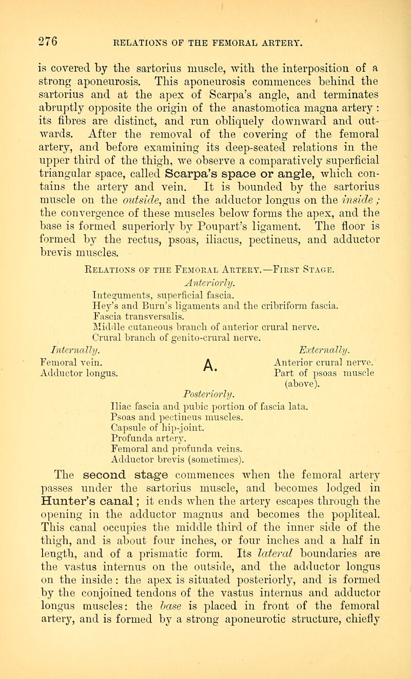 is covered by the sartorius muscle, with, the interposition, of a strong aponeurosis. Tins aponeurosis commences behind the sartorius and at the apex of Scarpa's angle, and terminates abruptly opposite the origin of the anastomotica magna artery : its fibres are distinct, and run obliquely downward and out- wards. After the removal of the covering of the femoral artery, and before examining its deep-seated relations in the upper third of the thigh, we observe a comparatively superficial triangular space, called Scarpa's space or angle, which con- tains the artery and vein. It is bounded by the sartorius muscle on the outside, and the adductor longus on the inside ; the convergence of these muscles below forms the apex, and the base is formed superiorly by Poupart's ligament. The floor is formed by the rectus, psoas, iliacus, pectineus, and adductor brevis muscles. Relations of the Femoral Artery.—First Stage. Anteriorly. Integuments, superficial fascia. Hey's and Burn's ligaments and the cribriform fascia. Fascia transversalis. Middle cutaneous branch of anterior crural nerve. Crural branch of genito-crural nerve. Internally. Externally. Femoral vein. A Anterior crural nerve. Adductor longus. Part of psoas muscle (above). Posteriorly. Iliac fascia and pubic portion of fascia lata. Psoas and pectineus muscles. Capsule of hip-joint. Profunda artery. Femoral and profunda veins. Adductor brevis (sometimes). The second stage commences when the femoral artery passes under the sartorius muscle, and becomes lodged in Hunter's canal; it ends when the artery escapes through the opening in the adductor magnus and becomes the popliteal. This canal occupies the middle third of the inner side of the thigh, and is about four inches, or four inches and a half in length, and of a prismatic form. Its lettered boundaries are the vastus in tenuis on the outside, and the adductor longus on the inside: the apex is situated posteriorly, and is formed by the conjoined tendons of the vastus interims and adductor longus muscles: the base is placed in front of the femoral artery, and is formed by a strong aponeurotic structure, chiefly