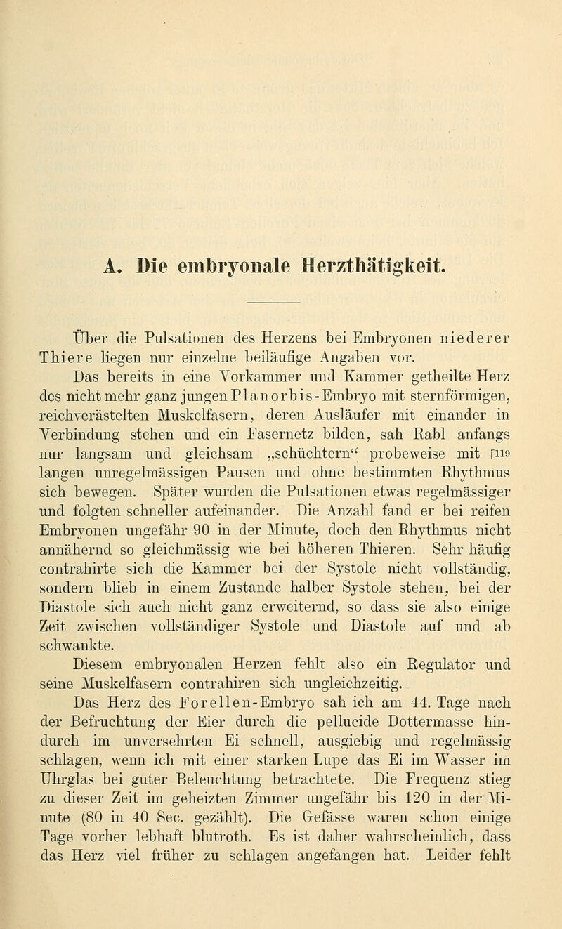 A. Die embryonale Herzthätigkeit. tJber die Pulsationen des Herzens bei Embryonen niederer Thiere liegen nur einzelne beiläufige Angaben vor. Das bereits in eine Vorkammer und Kammer getheilte Herz des nicht mehr ganz jungen Plan orbis-Embryo mit sternförmigen, reicbverästelten Muskelfasern, deren Ausläufer mit einander in Verbindung stehen und ein Fasernetz bilden, sah Rabl anfangs nur langsam und gleichsam „schüchtern probeweise mit [ii9 langen unregelmässigen Pausen und ohne bestimmten Rhythmus sich bewegen. Später wurden die Pulsationen etwas regelmässiger und folgten schneller aufeinander. Die Anzahl fand er bei reifen Embryonen ungefähr 90 in der Minute, doch den Rhythmus nicht annähernd so gleichmässig wie bei höheren Thieren. Sehr häufig contrahirte sich die Kammer bei der Systole nicht vollständig, sondern blieb in einem Zustande halber Systole stehen, bei der Diastole sich auch nicht ganz erweiternd, so dass sie also einige Zeit zwischen vollständiger Systole und Diastole auf und ab schwankte. Diesem embryonalen Herzen fehlt also ein Regulator und seine Muskelfasern contrahiren sich ungleichzeitig. Das Herz des Forellen-Embryo sah ich am 44. Tage nach der Befruchtung der Eier durch die pellucide Dottermasse hin- durch im unversehrten Ei schnell, ausgiebig und regelmässig schlagen, wenn ich mit einer starken Lupe das Ei im Wasser im ührglas bei guter Beleuchtung betrachtete. Die Frequenz stieg zu dieser Zeit im geheizten Zimmer ungefähr bis 120 in der Mi- nute (80 in 40 See. gezählt). Die Gefässe waren schon einige Tage vorher lebhaft blutroth. Es ist daher wahrscheinlich, dass das Herz viel früher zu schlagen angefangen hat. Leider fehlt