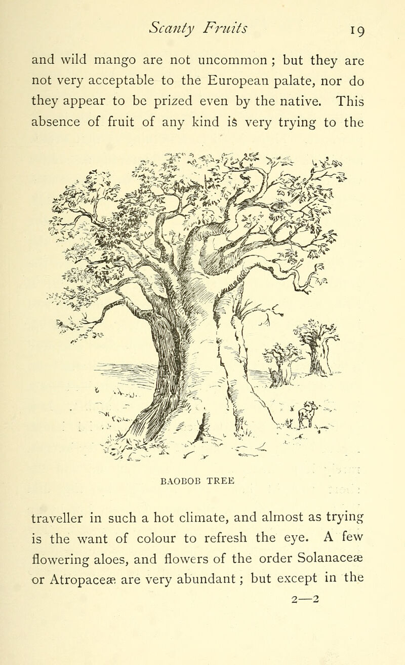 and wild mango are not uncommon ; but they are not very acceptable to the European palate, nor do they appear to be prized even by the native. This absence of fruit of any kind is very trying to the ^,,.!i^ J,^ a/^w V'*-*- 1 x3 /_ BAOBOB TREE traveller in such a hot climate, and almost as trying is the want of colour to refresh the eye. A few flowering aloes, and flowers of the order Solanaceae or Atropacese are very abundant; but except in the