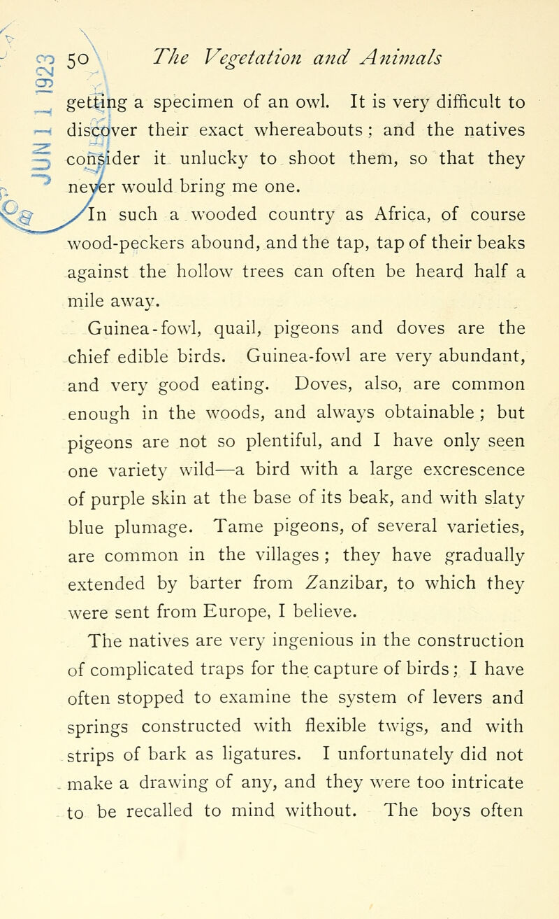 CJ? getting a specimen of an owl. It is very difficult to discover their exact whereabouts ; and the natives consider it unlucky to shoot them, so that they nearer wrould bring me one. In such a wooded country as Africa, of course wood-peckers abound, and the tap, tap of their beaks against the hollow trees can often be heard half a mile away. Guinea-fowl, quail, pigeons and doves are the chief edible birds. Guinea-fowl are very abundant, and very good eating. Doves, also, are common enough in the woods, and always obtainable; but pigeons are not so plentiful, and I have only seen one variety wild—a bird with a large excrescence of purple skin at the base of its beak, and with slaty blue plumage. Tame pigeons, of several varieties, are common in the villages ; they have gradually extended by barter from Zanzibar, to which they were sent from Europe, I believe. The natives are very ingenious in the construction of complicated traps for the capture of birds ; I have often stopped to examine the system of levers and springs constructed with flexible twigs, and with strips of bark as ligatures. I unfortunately did not - make a drawing of any, and they were too intricate to be recalled to mind without. The boys often