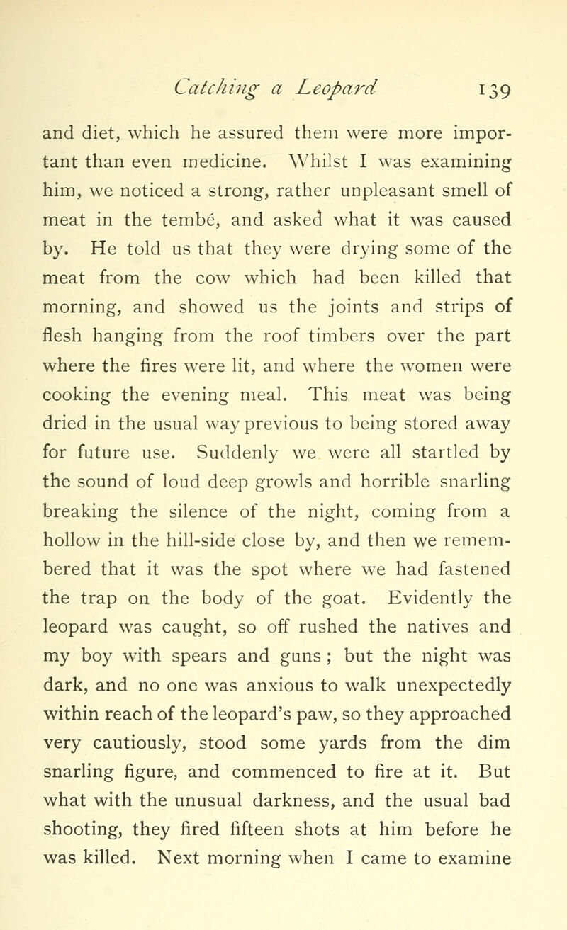 and diet, which he assured them were more impor- tant than even medicine. Whilst I was examining him, we noticed a strong, rather unpleasant smell of meat in the tembe, and asked what it was caused by. He told us that they were drying some of the meat from the cow which had been killed that morning, and showed us the joints and strips of flesh hanging from the roof timbers over the part where the fires were lit, and where the women were cooking the evening meal. This meat was being dried in the usual way previous to being stored away for future use. Suddenly we were all startled by the sound of loud deep growls and horrible snarling breaking the silence of the night, coming from a hollow in the hill-side close by, and then we remem- bered that it was the spot where we had fastened the trap on the body of the goat. Evidently the leopard was caught, so off rushed the natives and my boy with spears and guns ; but the night was dark, and no one was anxious to walk unexpectedly within reach of the leopard's paw, so they approached very cautiously, stood some yards from the dim snarling figure, and commenced to fire at it. But what with the unusual darkness, and the usual bad shooting, they fired fifteen shots at him before he was killed. Next morning when I came to examine