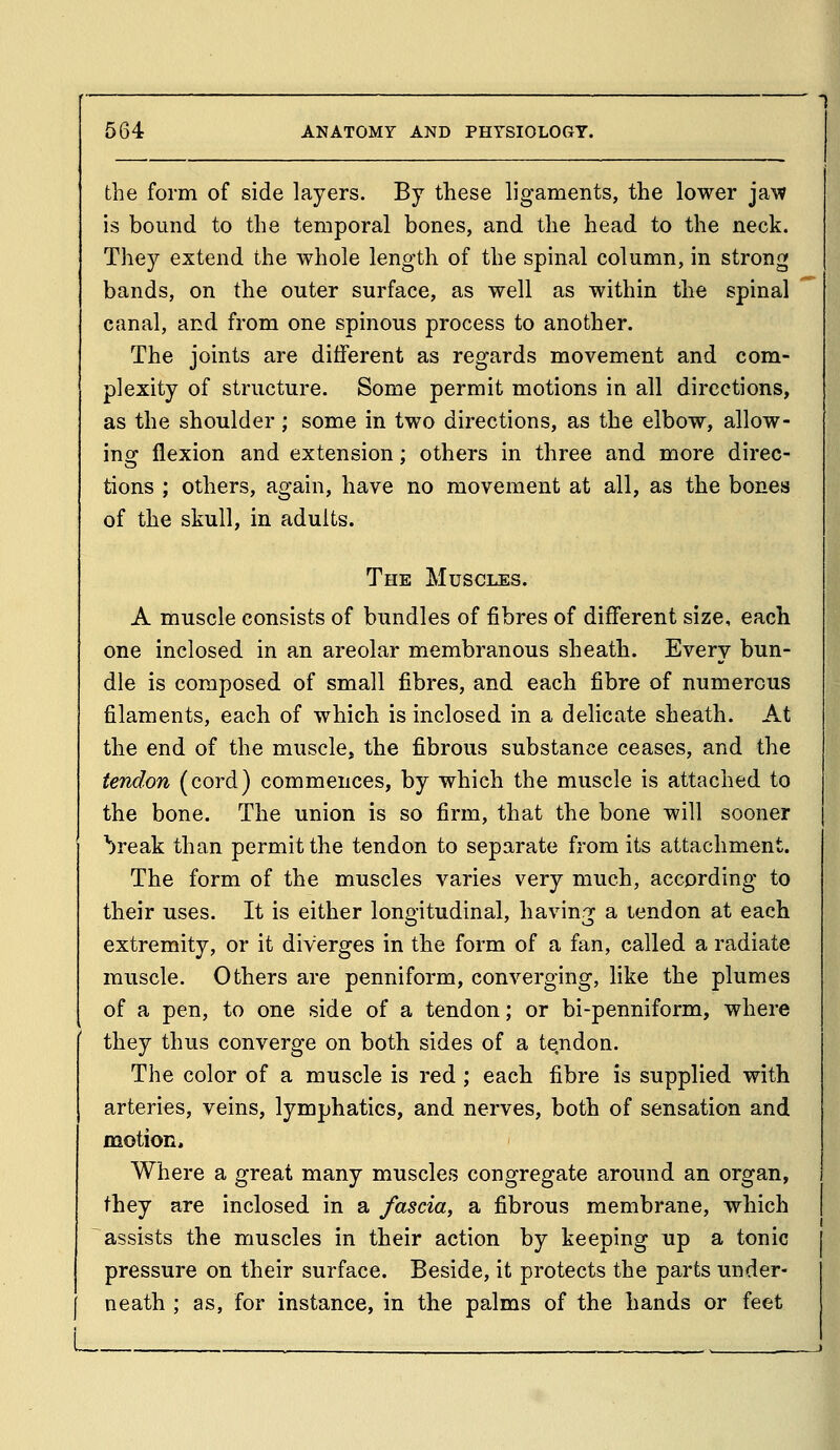 the form of side layers. By these ligaments, the lower ja\v is bound to the temporal bones, and the head to the neck. They extend the whole length of the spinal column, in strong bands, on the outer surface, as well as within the spinal canal, and from one spinous process to another. The joints are different as regards movement and com- plexity of structure. Some permit motions in all directions, as the shoulder; some in two directions, as the elbow, allow- ing flexion and extension; others in three and more direc- tions ; others, again, have no movement at all, as the bones of the skull, in adults. The Muscles. A muscle consists of bundles of fibres of different size, each one inclosed in an areolar membranous sheath. Every bun- dle is composed of small fibres, and each fibre of numerous filaments, each of which is inclosed in a delicate sheath. At the end of the muscle, the fibrous substance ceases, and the tendon (cord) commences, by which the muscle is attached to the bone. The union is so firm, that the bone will sooner break than permit the tendon to separate from its attachment. The form of the muscles varies very much, according to their uses. It is either longitudinal, having a lendon at each extremity, or it diverges in the form of a fan, called a radiate muscle. Others are penniform, converging, like the plumes of a pen, to one side of a tendon; or bi-penniform, where they thus converge on both sides of a tendon. The color of a muscle is red ; each fibre is supplied with arteries, veins, lymphatics, and nerves, both of sensation and motion. Where a great many muscles congregate around an organ, they are inclosed in a fascia, a fibrous membrane, which assists the muscles in their action by keeping up a tonic pressure on their surface. Beside, it protects the parts under- neath ; as, for instance, in the palms of the hands or feet