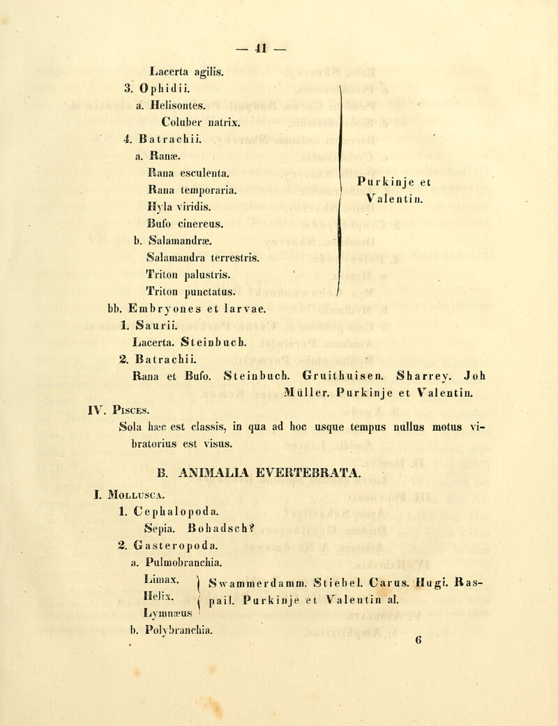 Purkinje et Valentin. IV Lacerta agilis. 3. 0 p li i d i i. a. Helisontes. Coluber natrix. 4. B a t r a c h i i. a. Ranse. Bana esculenta. Rana teniporaria. Hyla viridis. Bufo cinereus. b. Salainandx'je, Salamandra terrestris. Triton palustris. Triton punctatus. / bb. Embryones et larvae. 1. Saurii. Lacerta. Steinbuch. 3. Batrachii. Rana et Bufo. Steinbuch. Gruithuisen, Sharrey. Joh Miiller. Purkinje et Valentin. , PlSCES, Sola haec est classis, in qua ad hoc usque tempus nullus motus vi- bratorius est visus. B. ANBL\LL\ EVEETEBRATA. L MoiiLUSCA. 1. Cephalopoda, Sepia. Bohadsch? 2. Gasteropoda. a. Pulmobranchia. Limax. I Swammerdamm. Stiebel, Carus. Hugi. Ras- Helix. / pgji Pm-kinje et Valentin al. Lyranteus ■ b. Pol) branchia.