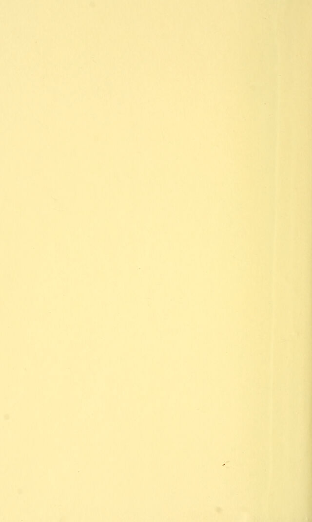 digitised image 2