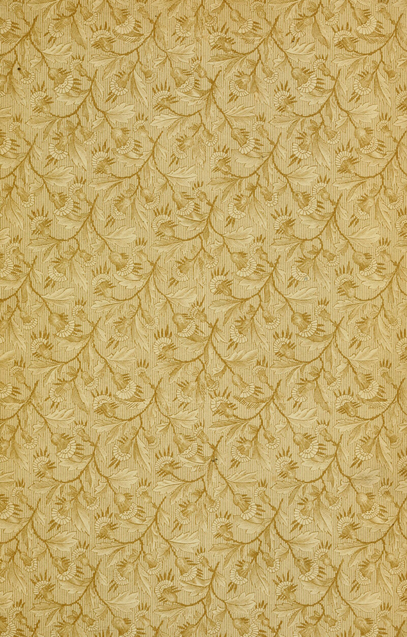 -M\\ SOU pjimii Pi _ ■- ~-i