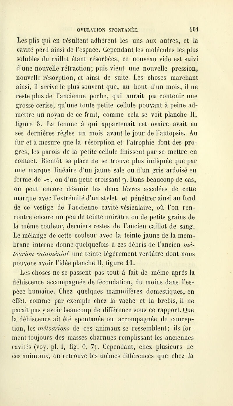 Les plis qui en résultent adhèrent les uns aux autres, et la cavité perd ainsi de l'espace. Cependant les molécules les plus solubles du caillot étant résorbées, ce nouveau vide est suivi d'une nouvelle rétraction; puis vient une nouvelle pression, nouvelle résorption, et ainsi de suite. Les choses marchant ainsi, il arrive le plus souvent que, au bout d'un mois, il ne reste plus de l'ancienne poche, qui aurait pu contenir une grosse cerise, qu'une toute petite cellule pouvant à peine ad- mettre un noyau de ce fruit, comme cela se voit planche II, figure 3. La femme à qui appartenait cet ovaire avait eu ses dernières règles un mois avant le jour de l'autopsie. Au fur et à mesure que la résorption et l'atrophie font des pro- grès, les parois de la petite cellule finissent par se mettre en contact. Bientôt sa place ne se trouve plus indiquée que par une marque linéaire d'un jaune sale ou d'un gris ardoisé en forme de ^j, ou d'un petit croissant 3. Dans beaucoup de cas, on peut encore désunir les deux lèvres accolées de cette marque avec l'extrémité d'un stylet, et pénétrer ainsi au fond de ce vestige de l'ancienne cavité vésiculaire, où l'on ren- contre encore un peu de teinte noirâtre ou de petits grains de la même couleur, derniers restes de l'ancien caillot de sang. Le mélange de cette couleur avec la teinte jaune de la mem- brane interne donne quelquefois à ces débris de l'ancien mé- toarion cataménial une teinte légèrement verdàtre dont nous pouvons avoir l'idée planche II, figure 11. Les choses ne se passent pas tout à fait de même après la déhiscence accompagnée de fécondation, du moins dans l'es- pèce humaine. Chez quelques mammifères domestiques, en effet, comme par exemple chez la vache et la brebis, il ne paraît pas y avoir beaucoup de différence sous ce rapport. Que la déhiscence ait été spontanée ou accompagnée de concep- tion, les métoarions de ces animaux se ressemblent; ils for- ment toujours des masses charnues remplissant les anciennes cavités (voy. pi. I, fig. 6, 7). Cependant, chez plusieurs de ces animaux, on retrouve les mêmes différences que chez la