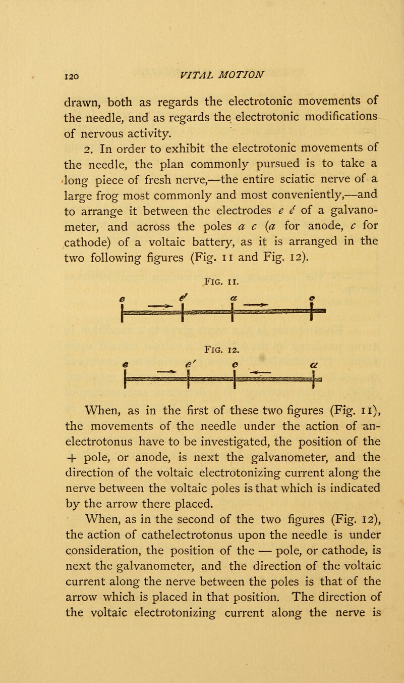 drawn, both as regards the electrotonic movements of the needle, and as regards the electrotonic modifications of nervous activity. 2. In order to exhibit the electrotonic movements of the needle, the plan commonly pursued is to take a long piece of fresh nerve,—the entire sciatic nerve of a large frog most commonly and most conveniently,—and to arrange it between the electrodes ^ / of a galvano- meter, and across the poles a c {a for anode, c for cathode) of a voltaic battery, as it is arranged in the two following figures (Fig. 11 and Fig. 12). Fig. 12. G When, as in the first of these two figures (Fig. 11), the movements of the needle under the action of an- electrotonus have to be investigated, the position of the + pole, or anode, is next the galvanometer, and the direction of the voltaic electrotonizing current along the nerve between the voltaic poles is that which is indicated by the arrow there placed. When, as in the second of the two figures (Fig. 12), the action of cathelectrotonus upon the needle is under consideration, the position of the — pole, or cathode, is next the galvanometer, and the direction of the voltaic current along the nerve between the poles is that of the arrow which is placed in that position. The direction of the voltaic electrotonizing current along the nerve is