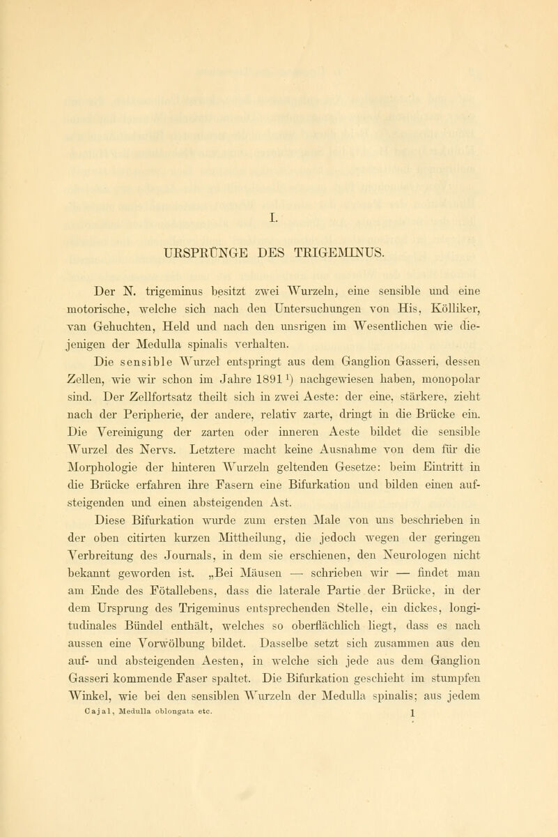 UESPßÜNGE DES TRIGEMINUS. Der N. trigeminus besitzt zwei Wurzeln, eine sensible und eine motorische, welche sich nach den Untersuchungen von His, Kölliker, Tan Gebuchten, Held und nach den imsrigen im Wesentlichen wie die- jenigen der MeduUa spinalis verhalten. Die sensible AVui'zel entspringt aus dem Ganglion Gasseri, dessen Zellen, wie wir schon im Jahre 18911) nachgewiesen haben, monopolar sind. Der Zellfoiisatz theilt sich in zwei Aeste: der eine, stärkere, zieht nach der Peripherie, der andere, relativ zarte, dringt in die Brücke ein. Die Vereinigung der zarten oder inneren Aeste bildet die sensible Wurzel des Nervs. Letztere macht keine Ausnahme von dem für die Morphologie der hinteren Wurzehi geltenden Gesetze: beim Eintritt in die Brücke erfahren ihre Fasern eine Bifurkation und bilden einen auf- steigenden und einen absteigenden Ast. Diese Bifui'kation wurde zum ersten Male von uns beschrieben in der oben citirten kurzen Mittheilung, die jedoch wegen der geringen Verbreitung des Journals, in dem sie erschienen, den Neurologen nicht bekannt geworden ist. „Bei Mäusen — schrieben wir — findet man am Ende des Fötallebens, dass die laterale Partie der Brücke, in der dem Ursprung des Trigeminus entsprechenden Stelle, ein dickes, longi- tudinales Bündel enthält, welches so oberflächlich liegt, dass es nach aussen eine Vorwölbung bildet. Dasselbe setzt sich zusammen aus den auf- und absteigenden Aesten, in welche sich jede aus dem Ganglion Gasseri kommende Faser spaltet. Die Bifurkation geschieht im stumpfen Winkel, wie bei den sensiblen Wurzeln der Medulla spinalis; aus jedem