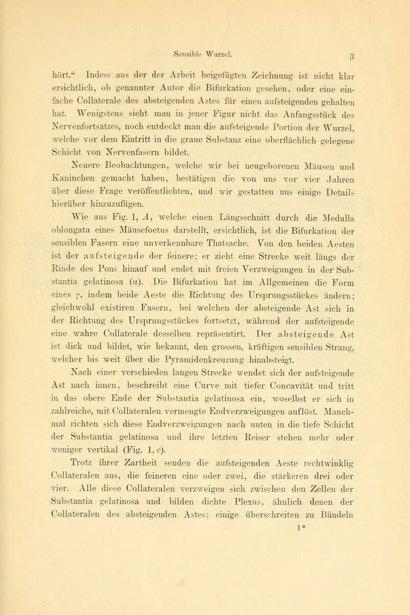 hört. Incless aus der der Arbeit beigefügten Zeichnimg ist nicht klar ersichtlich, ob genannter Autor die Bifurkation gesehen, oder eine ein- fache Collaterale des absteigenden Astes für einen aufsteigenden gehalten hat. Wenigstens sieht man in jener Figur nicht das Anfangsstück des Nervenfortsatzes, noch entdeckt man die aufsteigende Portion der Wurzel welche Yor dem Eintritt in die graue Substanz eine oberflächlich gelegene Schicht von Nervenfasern bildet. Neuere Beobachtungen, welche wir bei neugeborenen Mäusen und Kaninchen gemacht haben, bestätigen die von uns vor vier Jahren über diese Frage veröffentlichten, imd wir gestatten uns einige Details hierüber hinzuzufügen. Wie aus Fig. 1, Ä, welche einen Längsschnitt durch die Medulla oblongata eines Mäusefoetus darstellt, ersichtlich, ist die Bifurkation der sensiblen Fasern eine unverkennbare Thatsache. Von den beiden Aesten ist der aufsteigende der feinere; er zieht eine Strecke weit längs der Rinde des Pons hinauf und endet mit freien Verzweigungen in der Sub- stantia gelatinosa (a). Die Bifurkation hat im Allgemeinen die Form eines ;', indem beide Aeste die Eichtung des Ursprungsstückes ändern; gleichwohl existiren Fasern, bei welchen der absteigende Ast sich in der Eichtimg des Ursprungsstückes fortsetzt, während der aufsteigende eine wahre Collaterale desselben repräsentirt. Der absteigende Ast ist dick und bildet, wie bekannt, den grossen, kräftigen sensiblen Strang, welcher bis weit über die Pyramidenkreuzung hinabsteigt. Nach einer verschieden langen Strecke wendet sich der aufsteigende Ast nach innen, beschreibt eine Curve mit tiefer Concavität und tritt in das obere Ende der Substantia gelatinosa ein, woselbst er sich in zahlreiche, mit Collateralen vermengte Endverzweigungen auflöst. Manch- mal richten sich diese Endverzweigungen nach unten in die tiefe Schicht der Substantia gelatinosa und ihre letzten Reiser stehen mehr oder weniger vertikal (Fig. 1, c). Ti'otz ihrer Zartheit senden die aufsteigenden Aeste rechtwinkhg Collateralen aus, die feineren eine oder zwei, die stärkeren drei oder vier. Alle diese Collateralen verzweigen sich zwischen den Zellen der Substantia gelatinosa und bilden dichte Plexus, ähnlich denen der Collateralen des absteigenden Astes; einige überschreiten zu Bündeln 1*