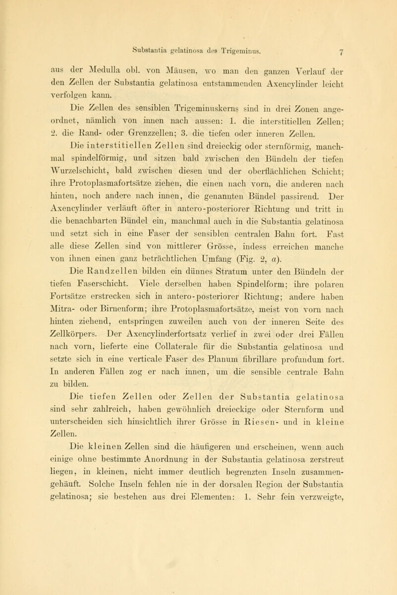 aus der Mediilla obl. Yon Mäusen, ^'o man den ganzen Verlauf der den Zellen der Substantia gelatinosa entstammenden Axencylinder leicht verfolgen kann. Die Zellen des sensiblen Trigeminuskerns sind in drei Zonen ange- ordnet, nämlich von innen nach aussen: 1. die interstitiellen Zellen; 2. die Eand- oder Grenzzellen; 3. die tiefen oder inneren ZeUen. Die interstitiellen Zellen sind dreieckig oder sternförmig, manch- mal spindelförmig, und sitzen bald zwischen den Bündeln der tiefen Wurzelschicht, bald zwischen diesen und der oberflächlichen Schicht; ihre Protoplasmafortsätze ziehen, die einen nach vorn, die anderen nach hinten, noch andere nach innen, die genannten Bündel passirend. Der Axencylinder verläuft öfter in antero-posteriorer Eichtung und tritt in die benachbarten Bündel ein, manchmal auch in die Substantia gelatinosa und setzt sich in eine Faser der sensiblen centralen Bahn fort. Fast alle diese Zellen sind von mittlerer Grösse, indess erreichen manche von ihnen einen ganz beträchtlichen Umfang (Fig. 2, a). Die Bandzellen bilden ein dünnes Stratum unter den Bündeln der tiefen Faserschicht. Viele derselben haben Spindelform; ihre polaren Fortsätze erstrecken sich in antero-posteriorer Richtung; andere haben Mitra- oder Birnenform; ihre Protoplasmafortsätze, meist von vorn nach hinten ziehend, entspringen zuweilen auch von der inneren Seite des Zellkörpers. Der Axencylinderfortsatz verlief in zwei oder drei Fällen nach vorn, lieferte eine Collaterale für die Substantia gelatinosa und setzte sich in eine verticale Faser des Planum fibrillare profiindum fort. In anderen Fällen zog er nach innen, um die sensible centrale Bahn zu bilden. Die tiefen Zellen oder Zellen der Substantia gelatinosa sind sehr zahlreich, haben geu^öhnlich dreieckige oder Sternform und unterscheiden sich hinsichtlich ihrer Grösse in Riesen- und in kleine Zellen. Die kleinen Zellen sind die häufigeren und erscheinen, wenn auch einige ohne bestimmte Anordnung in der Substantia gelatinosa zerstreut liegen, in kleinen, nicht immer deutlich begrenzten Inseln zusammen- gehäuft. Solche Inseln fehlen nie in der dorsalen Region der Substantia gelatinosa; sie bestehen aus di-ei Elementen: 1. Sehr fein verzweigte,