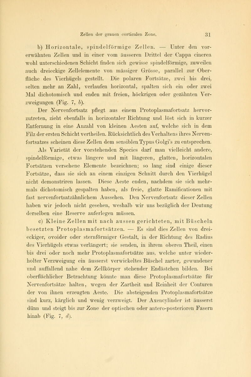 b) Horizontale, spindelförmige Zellen. — Unter den vor- erwähnten Zellen nnd in einer vom äusseren Drittel der Cappa cinerea wohl unterschiedenen Schicht finden sich gewisse spindelförmige, zuweilen auch di'eieckige Zellelemente von massiger Grösse, parallel zur Ober- fläche des Vierhügels gestellt. Die polaren Fortsätze, zwei bis drei, selten mehr an Zahl, verlaufen horizontal, spalten sich ein oder zwei Mal dichotomisch und enden mit freien, höckrigen oder gezähnten Ver- zweigungen (Fig. 7, h). Der Nervenfortsatz pflegt aus einem Protoplasmafortsatz hervor- zutreten, zieht ebenfalls in horizontaler Richtung und löst sich in kurzer Entfernung in eine Anzahl von kleinen Aesten auf, welche sich in dem Filz der ersten Schicht vertheilen, ßücksichtlich des Verhaltens ihres Nerven- Ibrtsatzes scheinen diese Zellen dem sensiblen Typus Golgi's zu entsprechen. Als Varietät der vorstehenden Species darf man vielleicht andere, spindelförmige, etwas längere und mit längeren, glatten, horizontalen Fortsätzen versehene Elemente bezeichnen; so lang sind einige dieser Fortsätze, dass sie sich an einem einzigen Schnitt durch den Vierhügel nicht demonstriren lassen. Diese Aeste enden, nachdem sie sich mehr- mals dichotomisch gespalten haben, als freie, glatte Ramificationen mit fast nervenfortsatzähnlichem Aussehen. Den Nervenfortsatz dieser Zellen haben wir jedoch nicht gesehen, weshalb wir uns bezüglich der Deutung derselben eine Reserve auferlegen müssen. c) Kleine Zellen mit nach aussen gerichteten, mit Büscheln besetzten Protoplasmafortsätzen. — Es sind dies Zellen von drei- eckiger, ovoider oder sternförmiger Gestalt, in der Richtung des Radius des Vierhügels etwas verlängert; sie senden, in ihrem oberen Theil, einen bis drei oder noch mehr Protoplasmafortsätze aus, welche unter wieder- holter Verzweigung ein äusserst verwickeltes Büschel zarter, gewundener und auffallend nahe dem Zellkörper stehender Endästchen bilden. Bei oberflächlicher Betrachtung könnte man diese Protoplasmafortsätze für Nervenfortsätze halten, wegen der Zartheit und Reinheit der Conturen der von ihnen erzeugten Aeste. Die absteigenden Protoplasmafortsätze sind kurz, kärglich und wenig verzweigt. Der Axencylinder ist äusserst dünn und steigt bis zur Zone der optischen oder antero-posterioren Fasern hinab (Fig. 7, cl).