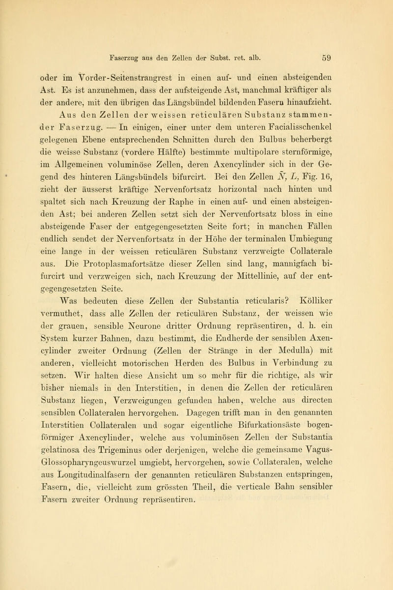oder im Vorder-Seitenstrangrest in einen auf- und einen absteigenden Ast. Es ist anzunehmen, dass der aufsteigende Ast, manchmal kräftiger als der andere, mit den übrigen das Längsbündel bildenden Fasern hinaufzieht. Aus den Zellen der weissen reticulären Substanz stammen- der Faserzug. —In einigen, einer unter dem unteren Facialisschenkel gelegenen Ebene entsprechenden Schnitten durch den Bulbus beherbergt die weisse Substanz (vordere Hälfte) bestimmte multipolare sternförmige, im Allgemeinen voluminöse Zellen, deren Axencylinder sich in der Ge- gend des hinteren Längsbündels bifurcirt. Bei den Zellen N, L, Fig. 16, zieht der äusserst kräftige Nervenfortsatz horizontal nach hinten und spaltet sich nach Kreuzung der Raphe in einen auf- und einen absteigen- den Ast; bei anderen Zellen setzt sich der Nervenfortsatz bloss in eine absteigende Faser der entgegengesetzten Seite fort; in manchen Fällen endlich sendet der Nervenfortsatz in der Höhe der terminalen Umbiegung eine lange in der weissen reticulären Substanz verzweigte Collaterale aus. Die Protoplasmafortsätze dieser Zellen sind lang, mannigfach bi- furcirt und verzweigen sich, nach Kreuzung der Mittellinie, auf der ent- gegengesetzten Seite. Was bedeuten diese Zellen der Substantia reticularis? Kölliker vermuthet, dass alle Zellen der reticulären Substanz, der weissen wie der grauen, sensible Neurone dritter Ordnung repräsentiren, d. h. ein System kurzer Bahnen, dazu bestimmt, die Eudherde der sensiblen Axen- cylinder zweiter Ordnung (Zellen der Stränge in der Medulla) mit anderen, vielleicht motorischen Herden des Bulbus in Verbindung zu setzen. Wir halten diese Ansicht um so mehr für die richtige, als wir bisher niemals in den Literstitien, in denen die Zellen der reticulären Substanz liegen, Verzweigungen gefunden haben, welche aus directen sensiblen Collateralen hervorgehen. Dagegen trifft man in den genannten Literstitien Collateralen und sogar eigentliche Bifurkationsäste bogen- förmiger Axencylinder, welche aus voluminösen Zellen der Substantia gelatinosa des Trigeminus oder derjenigen, welche die gemeinsame Vagus- Glossopharyngeuswurzel umgiebt, hervorgehen, sowie Collateralen, welche aus Longitudinalfasern der genannten reticulären Substanzen entspringen, Fasern, die, vielleicht zum grössten Theil, die verticale Bahn sensibler Fasern zweiter Ordnung repräsentiren.