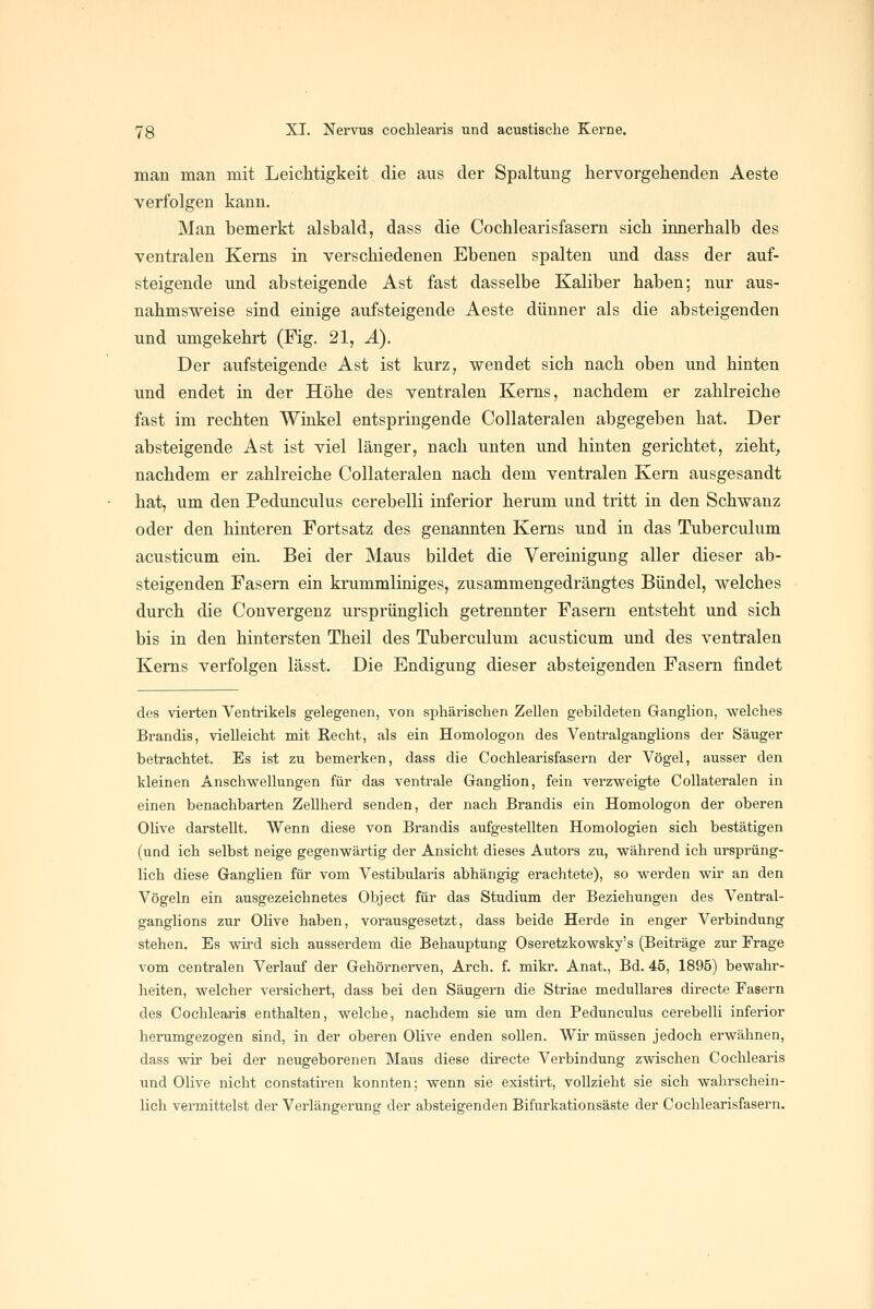 man man mit Leichtigkeit die aus der Spaltung hervorgehenden Aeste verfolgen kann. Man bemerkt alsbald, dass die Cochlearisfasern sich innerhalb des ventralen Kerns in verschiedenen Ebenen spalten und dass der auf- steigende und absteigende Ast fast dasselbe Kaliber haben; nur aus- nahmsweise sind einige aufsteigende Aeste dünner als die absteigenden und umgekehrt (Fig. 21, Ä). Der aufsteigende Ast ist kurz, wendet sich nach oben und hinten und endet in der Höhe des ventralen Kerns, nachdem er zahlreiche fast im rechten Winkel entspringende Collateralen abgegeben hat. Der absteigende Ast ist viel länger, nach unten und hinten gerichtet, zieht, nachdem er zahlreiche Collateralen nach dem ventralen Kern ausgesandt hat, um den Pedunculus cerebelli inferior herum und tritt in den Schwanz oder den hinteren Fortsatz des genannten Kerns und in das Tuberculum acusticum ein. Bei der Maus bildet die Vereinigung aller dieser ab- steigenden Fasern ein krummliniges, zusammengedrängtes Bündel, welches durch die Convergenz ursprünglich getrennter Fasern entsteht und sich bis in den hintersten Theil des Tuberculum acusticum und des ventralen Kerns verfolgen lässt. Die Endigung dieser absteigenden Fasern findet des vierten Ventrikels gelegenen, von sphärischen Zellen gebildeten Ganglion, welches Brandis, vielleicht mit Recht, als ein Homologon des Ventralganglions der Säuger betrachtet. Es ist zu bemerken, dass die Cochlearisfasern der Vögel, ausser den kleinen Anschwellungen für das ventrale Ganglion, fein verzweigte Collateralen in einen benachbarten Zellherd senden, der nach Brandis ein Homologon der oberen Olive darstellt. Wenn diese von Brandis aufgestellten Homologien sich bestätigen (und ich selbst neige gegenwärtig der Ansicht dieses Autors zu, während ich ursprüng- lich diese Ganglien für vom Vestibularis abhängig erachtete), so werden wir an den Vögeln ein ausgezeichnetes Object für das Studium der Beziehungen des Ventral- ganglions zur Olive haben, vorausgesetzt, dass beide Herde in enger Verbindung stehen. Es wird sich ausserdem die Behauptung Oseretzkowsky's (Beiträge zur Frage vom centralen Verlauf der Gehörnerven, Arch. f. mikr. Anat., Bd. 45, 1895) bewahr- heiten, welcher versichert, dass bei den Säugern die Striae medulläres directe Fasern des Cochlearis enthalten, welche, nachdem sie um den Pedunculus cerebelli inferior herumgezogen sind, in der oberen Olive enden sollen. Wir müssen jedoch erwähnen, dass wir bei der neugeborenen Maus diese directe Verbindung zwischen Cochlearis und Olive nicht constatiren konnten; wenn sie existirt, vollzieht sie sich wahrschein- lich vermittelst der Verlängerung der absteigenden Bifurkationsäste der Cochlearisfasern.