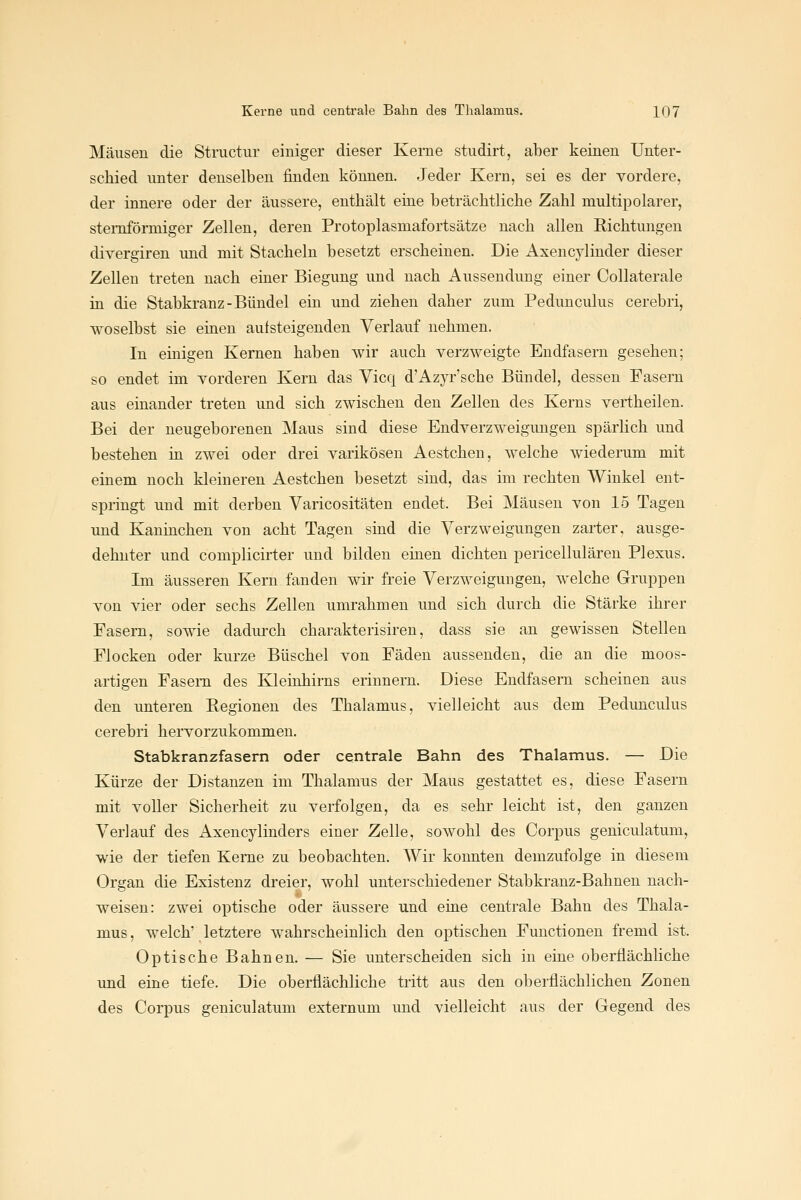 Mäusen die Structur einiger dieser Kerne studirt, aber keinen Unter- schied unter denselben finden können. Jeder Kern, sei es der vordere, der innere oder der äussere, enthält eine beträchtliche Zahl multipolarer, sternförmiger Zellen, deren Protoplasmafortsätze nach allen Richtungen divergiren und mit Stacheln besetzt erscheinen. Die Axencylinder dieser Zellen treten nach einer Biegung und nach Aussendung einer Collaterale in die Stabkranz-Bündel ein und ziehen daher zum Pedunculus cerebri, woselbst sie einen autsteigenden Verlauf nehmen. In einigen Kernen haben wir auch verzweigte Endfasern gesehen; so endet im vorderen Kern das Vicq d'Azyr'sche Bündel, dessen Fasern aus einander treten und sich zwischen den Zellen des Kerns vertheilen. Bei der neugeborenen Maus sind diese Endverzweigmigen spärlich und bestehen in zwei oder drei varikösen Aestchen, welche wiederum mit einem noch kleineren Aestchen besetzt sind, das im rechten Winkel ent- springt und mit derben Varicositäten endet. Bei Mäusen von 15 Tagen und Kaninchen von acht Tagen sind die Verzweigungen zarter, ausge- dehnter und complicirter und bilden einen dichten pericellulären Plexus. Im äusseren Kern fanden wir freie Verzweigungen, welche Gruppen von vier oder sechs Zellen umrahmen und sich durch die Stärke ihrer Fasern, sowie dadm-ch charakterisiren, dass sie an gewissen Stellen Flocken oder kurze Büschel von Fäden aussenden, die an die moos- artigen Fasern des Kleinhirns erinnern. Diese Endfasern scheinen aus den unteren Regionen des Thalamus, vielleicht aus dem Pedunculus cerebri hervorzukommen. Stabkranzfasern oder centrale Bahn des Thalamus. — Die Kürze der Distanzen im Thalamus der Maus gestattet es, diese Fasern mit voller Sicherheit zu verfolgen, da es sehr leicht ist, den ganzen Verlauf des Axencylinders einer Zelle, sowohl des Corpus geniculatum, wie der tiefen Kerne zu beobachten. Wir konnten demzufolge in diesem Organ die Existenz dreier, wohl unterschiedener Stabkranz-Bahnen nach- weisen: zwei optische oder äussere und eiae centrale Bahn des Thala- mus , welch' letztere wahrscheinlich den optischen Functionen fremd ist. Optische Bahnen. — Sie unterscheiden sich in eine oberflächliche und eine tiefe. Die oberflächliche tritt aus den oberflächlichen Zonen des Corpus geniculatum externum und vielleicht aus der Gegend des