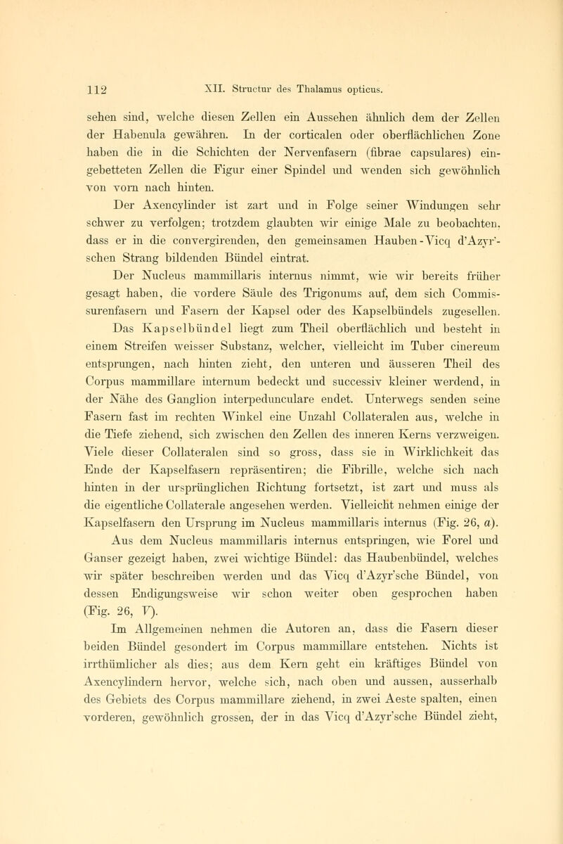 sehen sind, welche diesen Zellen ein Aussehen ähnlich dem der Zellen der Habenula gewähren. In der corticalen oder oberflächlichen Zone haben die in die Schichten der Nervenfasern (fibrae capsulares) ein- gebetteten Zellen die Figur einer Spindel und wenden sich gewöhnhch von vom nach hinten. Der Axencylinder ist zart und in Folge seiner Windungen sehr schwer zu verfolgen; trotzdem glaubten wir einige Male zu beobachten, dass er in die convergirenden, den gemeinsamen Hauben-Vicq d'Azyr- schen Strang bildenden Bündel eintrat. Der Nucleus mammillaris internus nimmt, wie wir bereits früher gesagt haben, die vordere Säule des Trigonums auf, dem sich Commis- surenfasern und Fasern der Kapsel oder des Kapselbündels zugesellen. Das Kapselbündel liegt zum Theil oberflächlich und besteht in einem Streifen weisser Substanz, welcher, vielleicht im Tuber cinereum entsprungen, nach hinten zieht, den unteren und äusseren Theil des Corpus mammillare internum bedeckt und successiv kleiner werdend, in der Nähe des Ganglion interpedunculare endet. Unterwegs senden seine Fasern fast im rechten Winkel eine Unzahl Collateralen aus, welche in die Tiefe ziehend, sich zwischen den Zellen des inneren Kerns verzweigen. Viele dieser Collateralen sind so gross, dass sie in Wirklichkeit das Ende der Kapselfasern repräsentiren; die Fibrille, welche sich nach hinten in der ursprünglichen Eichtung fortsetzt, ist zart und muss als die eigentliche Collaterale angesehen werden. Vielleicht nehmen einige der Kapselfasem den Ursprung im Nucleus mammillaris internus (Fig. 26, a). Aus dem Nucleus mammillaris internus entspringen, wie Forel und Ganser gezeigt haben, zwei wichtige Bündel: das Haubenbündel, welches wir später beschreiben werden und das Vicq d'Azyr'sche Bündel, von dessen Endigimgsweise wir schon weiter oben gesprochen haben (Fig. 26, T). Im Allgemeinen nehmen die Autoren an, dass die Fasern dieser beiden Bündel gesondert im Corpus mammillare entstehen. Nichts ist irrthümlicher als dies; aus dem Kern geht ein kräftiges Bündel von Axencylindern hervor, welche sich, nach oben und aussen, ausserhalb des Gebiets des Corpus mammillare ziehend, in zwei Aeste spalten, einen vorderen, gewöhnlich grossen, der in das Vicq d'Azyr'sche Bündel zieht.