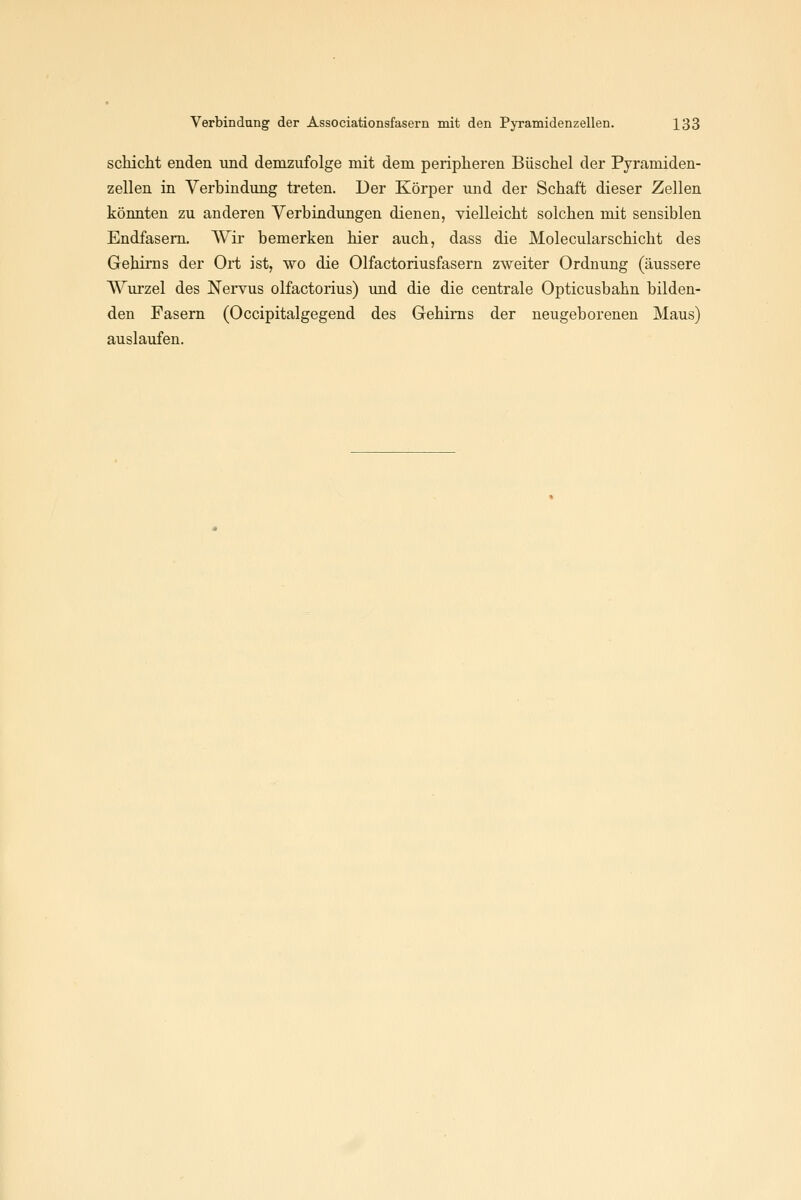 Schicht enden und demzufolge mit dem peripheren Büschel der Pyramiden- zellen in Verbindimg treten. Der Körper und der Schaft dieser Zellen könnten zu anderen Yerbindungen dienen, vielleicht solchen mit sensiblen Endfasem. Wir bemerken hier auch, dass die Molecularschicht des Gehirns der Ort ist, wo die Olfactoriusfasern zweiter Ordnung (äussere Wurzel des Nervus olfactorius) und die die centrale Opticusbahn bilden- den Fasern (Occipitalgegend des Gehirns der neugeborenen Maus) auslaufen.