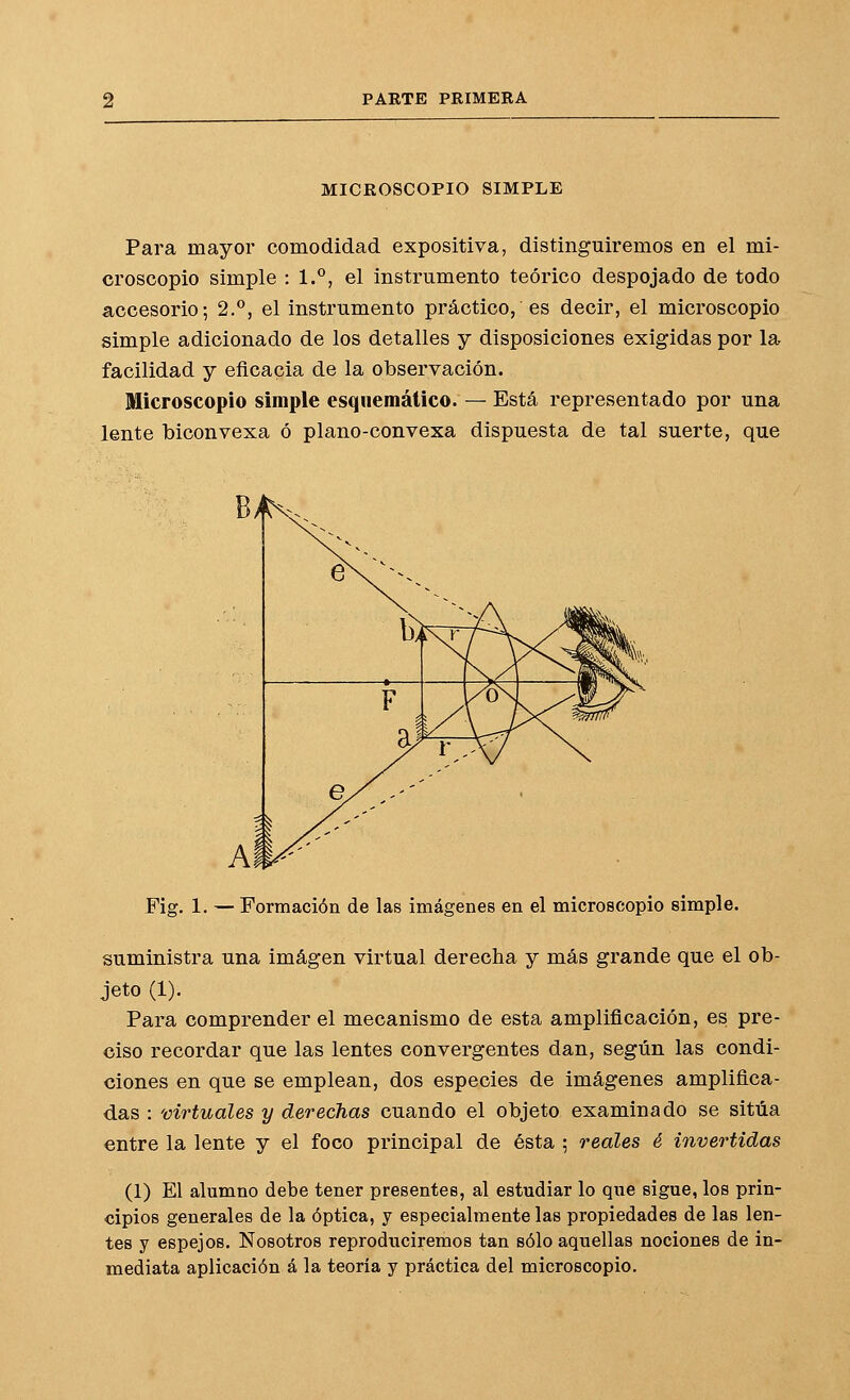 MICROSCOPIO SIMPLE Para mayor comodidad expositiva, distinguiremos en el mi- croscopio simple : I.*', el instrumento teórico despojado de todo accesorio; 2.*', el instrumento practicones decir, el microscopio simple adicionado de los detalles y disposiciones exigidas por la facilidad y eficacia de la observación. Microscopio simple esquemático. — Está representado por una lente biconvexa ó plano-convexa dispuesta de tal suerte, que Fig. 1. — Formación de las imágenes en el microscopio simple. suministra una imagen virtual derecha y más grande que el ob- jeto (1). Para comprender el mecanismo de esta amplificación, es pre- ciso recordar que las lentes convergentes dan, según las condi- ciones en que se emplean, dos especies de imágenes amplifica- das : virtuales y derechas cuando el objeto examinado se sitúa entre la lente y el foco principal de ésta ; reales é invertidas (1) El alumno debe tener presentes, al estudiar lo que sigue, los prin- cipios generales de la óptica, y especialmente las propiedades de las len- tes y espejos. Nosotros reproduciremos tan sólo aquellas nociones de in- mediata aplicación á la teoría y práctica del microscopio.