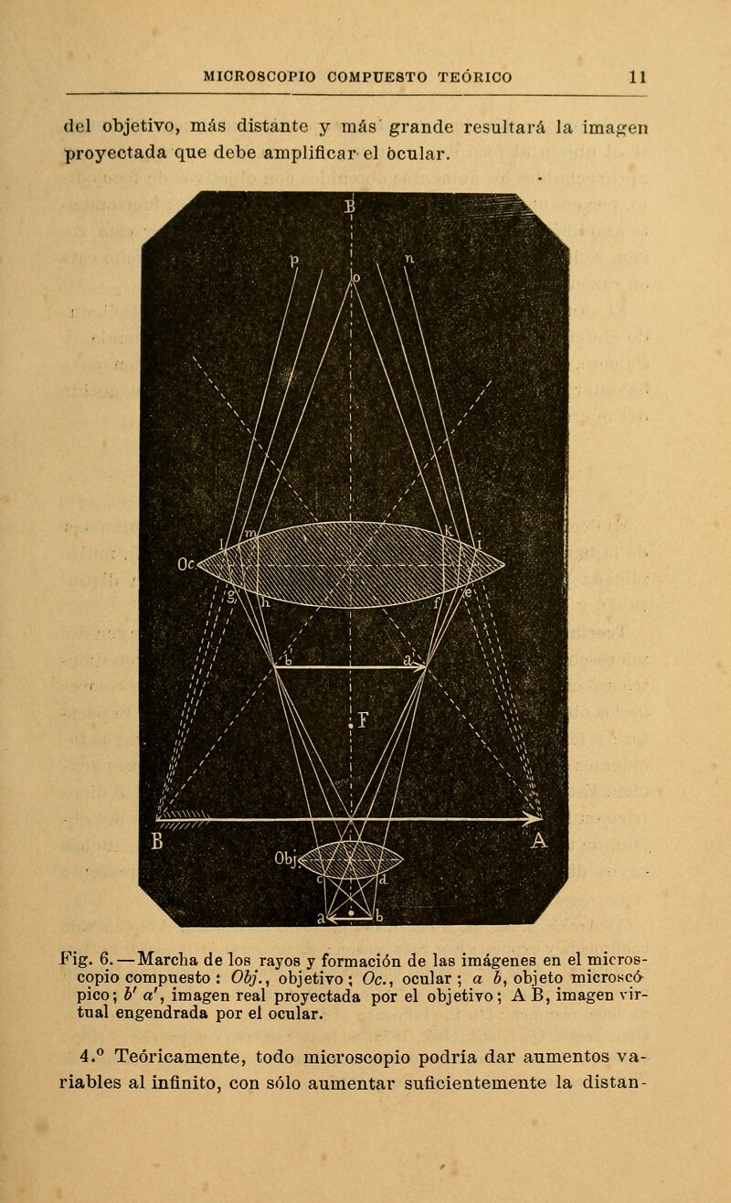 del objetivo, más distante y más grande resultará la imagen proyectada que debe amplificar el ocular. Fig. 6.—Marcha de los rayos y formación de las imágenes en el micros- copio compuesto : Obj., objetivo; Oc, ocular; a 5, objeto microscá pico; b' a', imagen real proyectada por el objetivo; AB, imagen vir- tual engendrada por el ocular. 4.*' Teóricamente, todo microscopio podría dar aumentos va- riables al infinito, con sólo aumentar suficientemente la distan-