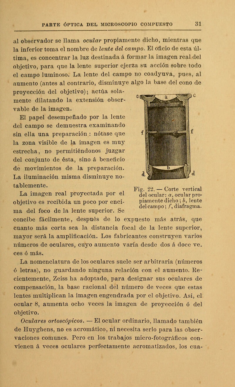 al observador se llama ocular propiamente dicho, mientras que la inferior toma el nombre de lente del campo. El oficio de esta úl- tima, es concentrar la luz destinada á formar la imagen real del objetivo, para que la lente superior ejerza su acción sobre todo el campo luminoso. La lente del campo no coadyuva, pues, al aumento (antes al contrario, disminuye algo la base del cono de proyección del objetivo); actúa sola- mente dilatando la extensión obser- vable de la imagen. El papel desempeñado por la lente del campo se demuestra examinando sin ella una preparación : nótase que la zona visible de la imagen es muy estrecha, no permitiéndonos juzgar del conjunto de ésta, sino á beneficio de movimientos de la preparación. La iluminación misma disminuye no- tablemente. La imagen real proyectada por el objetivo es recibida un poco por enci- ma del foco de la lente superior. Se concibe fácilmente, después de lo expuesto más atrás, que cuanto más corta sea la distancia focal de la lente superior, mayor será la amplificación. Los fabricantes construyen varios números de oculares, cuyo aumento varía desde dos á doce ve. ees ó más. . La nomenclatura de los oculares suele ser arbitraria (números ó letras), no guardando ninguna relación con el aumento. Ee- cientemente, Zeiss ha adoptado, para designar sus oculares de compensación, la base racional del número de veces que estas lentes multiplican la imagen engendrada por el objetivo. Así, el ocular 8, aumenta ocho veces la imagen de proyección ó del objetivo. Oculares ortoscópicos. — El ocular ordinario, llamado también de Huyghens, no es acromático, ni necesita serlo para las obser- vaciones comunes. Pero en los trabajos micro-fotográficos con- vienen á veces oculares perfectamente acromatizados, los cua- Fig. 22. — Corte vertical del ocular: «, ocular pro- piamente dicho; ¿, lente del campo; /, diafragma.