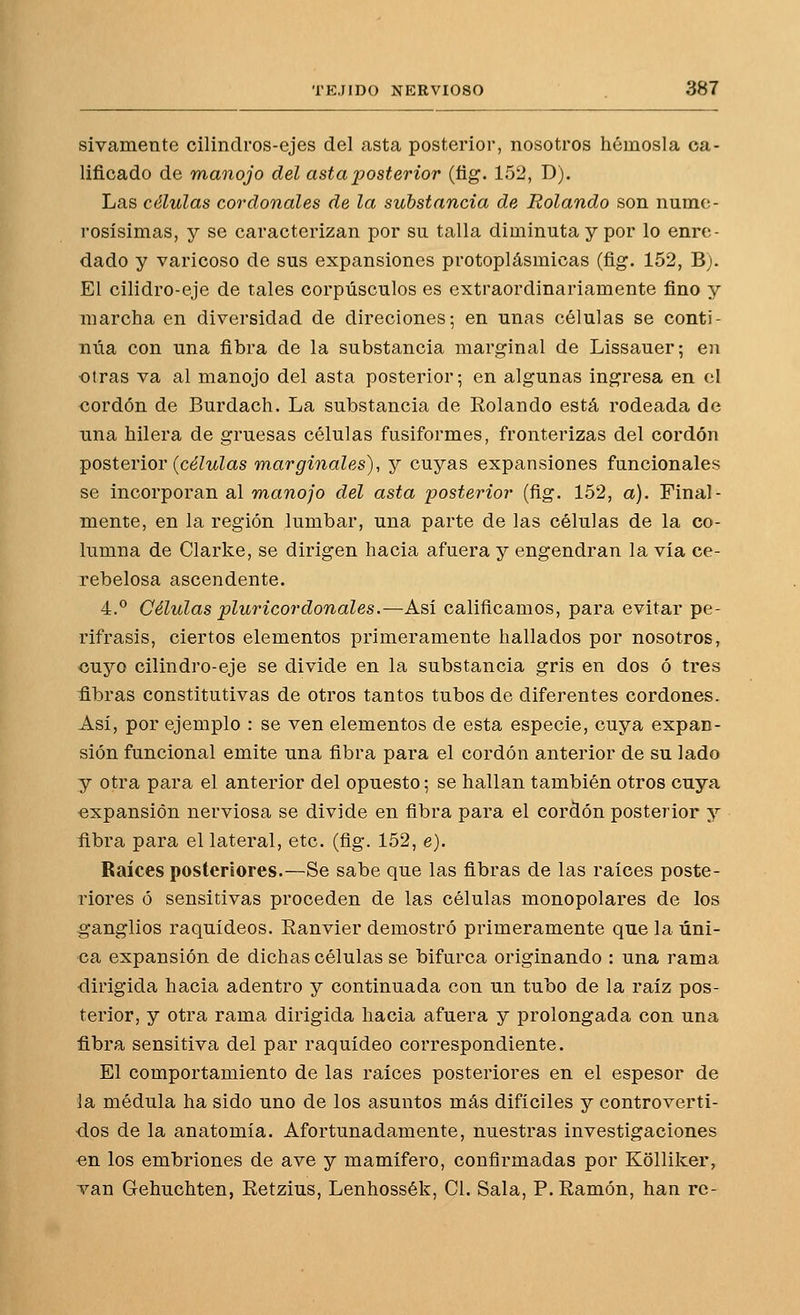 sivamente cilindros-ejes del asta posterior, nosotros hémosla ca- lificado de manojo del asta posterior (fig. 152, D). Las células cor dónales de la substancia de Rolando son nume- rosísimas, y se caracterizan por su talla diminuta y por lo enre- dado y varicoso de sus expansiones protoplásmioas (fig. 152, B). El cilidro-eje de tales corpúsculos es extraordinariamente fino y marcha en diversidad de direciones; en unas células se conti- núa con una fibra de la substancia marginal de Lissauer; en otras va al manojo del asta posterior; en algunas ingresa en el cordón de Burdach. La substancia de Eolando está rodeada de una hilera de gruesas células fusiformes, fronterizas del cordón posterior (c^ZwZas marginales), y cuyas expansiones funcionales se incorporan al mawo/o del asta posterior (fig. 152, a). Final- mente, en la región lumbar, una parte de las células de la co- lumna de Clarke, se dirigen hacia afuera y engendran la vía ce- rebelosa ascendente. 4.^ Células pluricordónales.—Así calificamos, para evitar pe- rífrasis, ciertos elementos primeramente hallados por nosotros, cuyo cilindro-eje se divide en la substancia gris en dos ó tres úbras constitutivas de otros tantos tubos de diferentes cordones. Así, por ejemplo : se ven elementos de esta especie, cuya expan- sión funcional emite una fibra para el cordón anterior de su lado y otra para el anterior del opuesto; se hallan también otros cuya expansión nerviosa se divide en fibra para el cordón posterior y fibra para el lateral, etc. (fig. 152, e). Raíces posteriores.—Se sabe que las fibras de las raíces poste- riores ó sensitivas proceden de las células monopolares de los ganglios raquídeos. Ranvier demostró primeramente que la úni- ca expansión de dichas células se bifurca originando : una rama dirigida hacia adentro y continuada con un tubo de la raíz pos- terior, y otra rama dirigida hacia afuera y prolongada con una fibra sensitiva del par raquídeo correspondiente. El comportamiento de las raíces posteriores en el espesor de la médula ha sido uno de los asuntos más difíciles y controverti- dos de la anatomía. Afortunadamente, nuestras investigaciones en los embriones de ave y mamífero, confirmadas por Kólliker, van Gehuchten, Eetzius, Lenhossék, Cl. Sala, P.Eamón, han re-