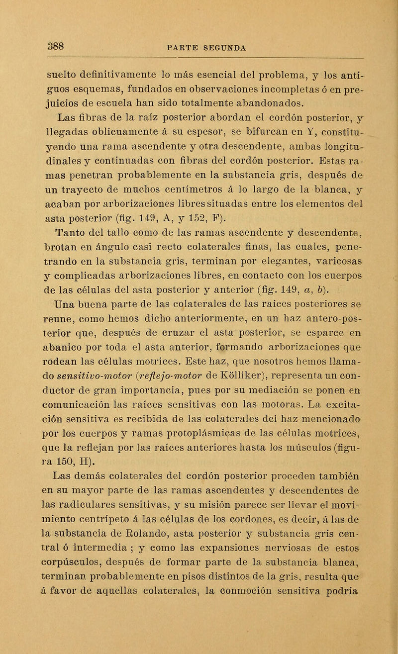 suelto definitivamente lo más esencial del problema, y los anti- guos esquemas, fundados en observaciones incompletas ó en pre- juicios de escuela han sido totalmente abandonados. Las fibras de la raíz posterior abordan el cordón posterior, y llegadas oblicuamente á su espesor, se bifurcan en Y, constitu- yendo una rama ascendente y otra descendente, ambas longitu- dinales y continuadas con fibras del cordón posterior. Estas ra- mas penetran probablemente en la substancia gris, después de un trayecto de muchos centímetros á lo largo de la blanca, y acaban por arborizaciones libres situadas entre los elementos del asta posterior (fig. 149, A, y 152, F). Tanto del tallo como de las ramas ascendente y descendente, brotan en ángulo casi recto colaterales finas, las cuales, pene- trando en la substancia gris, terminan por elegantes, varicosas y complicadas arborizaciones libres, en contacto con los cuerpos de las células del asta posterior y anterior (fig. 149, a, b). Una buena parte de las colaterales de las raíces posteriores se reúne, como hemos dicho anteriormente, en un haz antero-pos- terior que, después de cruzar el asta posterior, se esparce en abanico por toda el asta anterior, formando arborizaciones que rodean las células motrices. Este haz, que nosotros hemos llama- do sensitivo-motor (reflejo-Tnotor de Kolliker), representa un con- ductor de gran importancia, pues por su mediación se ponen en comunicación las raices sensitivas con las motoras. La excita- ción sensitiva es recibida de las colaterales del haz mencionado por los cuerpos y ramas protoplásmicas de las células motrices, que la reflejan por las raíces anteriores hasta los músculos (figu- ra 150, H). Las demás colaterales del cordón posterior proceden también en su mayor parte de las ramas ascendentes y descendentes de las radiculares sensitivas, y su misión parece ser llevar el movi- miento centrípeto á las células de los cordones, es decir, á las de la substancia de Eolando, asta posterior y substancia gris cen- tral ó intermedia ; y como las expansiones nerviosas de estos corpúsculos, después de formar parte de la substancia blanca, terminan probablemente en pisos distintos de la gris, resulta que á favor de aquellas colaterales, la conmoción sensitiva podría