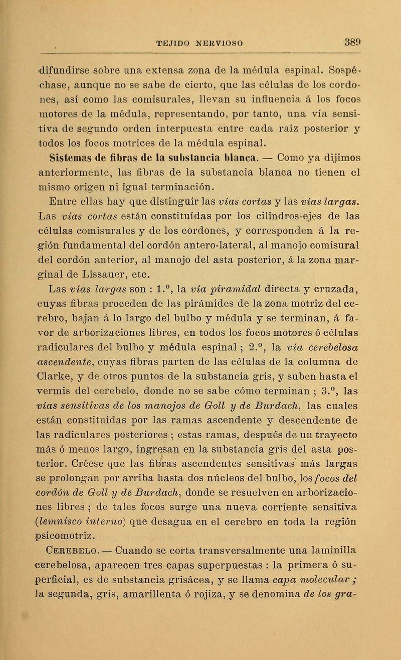 difundirse sobre una extensa zona de la médula espinal. Sospé- chase, aunque no se sabe de cierto, que las células de los cordo- nes, así como las comisurales, llevan su influencia á los focos motores de la médula, representando, por tanto, una via sensi- tiva de segundo orden interpuesta entre cada raíz posterior y todos los focos motrices de la médula espinal. Sistemas de fibras de la substancia blanca. — Como ya dijimos anteriormente, las fibras de la substancia blanca no tienen el mismo orig-en ni igual terminación. Entre ellas hay que distinguir las vías cortas y las vías largas. Las vías cortas están constituidas por los cilindros-ejes de las células comisurales y de los cordones, y corresponden á la re- gión fundamental del cordón antero-lateral, al manojo comisural del cordón anterior, al manojo del asta posterior, á la zona mar- ginal de Lissauer, etc. Las vías largas son : 1.°, la vía piramidal directa y cruzada, cuyas fibras proceden de las pirámides de la zona motriz del ce- rebro, bajan á lo largo del bulbo y médula y se terminan, á fa- vor de arborizaciones libres, en todos los focos motores ó células radiculares del bulbo y médula espinal; 2°, la via cerebélosa ascendente, cuyas fibras parten de las células de la columna de Olarke, y de otros puntos de la substancia gris, y suben hasta el vermis del cerebelo, donde no se sabe cómo terminan ; 3.*^, las ^ías sensitivas de los manojos de Goll y de Burdacli. las cuales están constituidas por las ramas ascendente y descendente de las radiculares posteriores ; estas ramas, después de un trayecto más ó menos largo, ingresan en la substancia gris del asta pos- terior. Créese que las fibras ascendentes sensitivas' más largas se prolongan por arriba hasta dos núcleos del bulbo, \ob focos del cordón de Goll y de BurdacTi, donde se resuelven en arborizacio- nes libres ; de tales focos surge una nueva corriente sensitiva {leTnnisco interno) que desagua en el cerebro en toda la región psicomotriz. Cerebelo.— Cuando se corta transversalmente una laminilla cerebélosa, aparecen tres capas superpuestas : la primera ó su- perficial, es de substancia grisácea, y se llama capa molecular ; la segunda, gris, amarillenta ó rojiza, y se denomina de los gra-