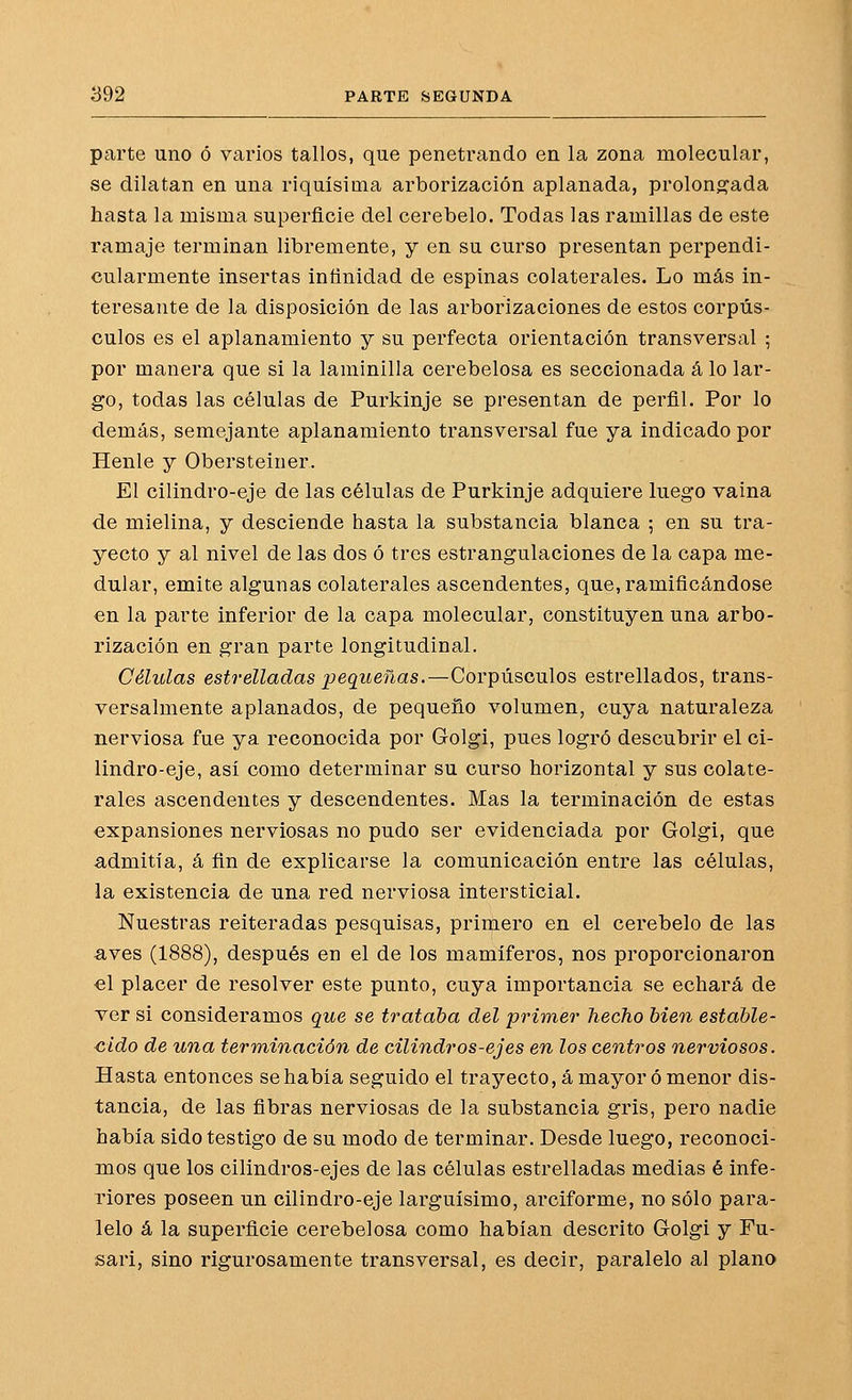parte uno ó varios tallos, que penetrando en la zona molecular, se dilatan en una riquísima arborización aplanada, prolong^ada hasta la misma superficie del cerebelo. Todas las ramillas de este ramaje terminan libremente, y en su curso presentan perpendi- cularmente insertas infinidad de espinas colaterales. Lo más in- teresante de la disposición de las arborizaciones de estos corpús- culos es el aplanamiento y su perfecta orientación transversal ; por manera que si la laminilla cerebelosa es seccionada á lo lar- go, todas las células de Purkinje se presentan de perfil. Por lo demás, semejante aplanamiento transversal fue ya indicado por Henle y Obersteiner. El cilindro-eje de las células de Purkinje adquiere luego vaina de mielina, y desciende hasta la substancia blanca ; en su tra- yecto y al nivel de las dos ó tres estrangulaciones de la capa me- dular, emite algunas colaterales ascendentes, que, ramificándose en la parte inferior de la capa molecular, constituyen una arbo- rización en gran parte longitudinal. Células estrelladas pequeñas.—Corpúsculos estrellados, trans- versalmente aplanados, de pequeño volumen, cuya naturaleza nerviosa fue ya reconocida por Golgi, pues logró descubrir el ci- lindro-eje, asi como determinar su curso horizontal y sus colate- rales ascendentes y descendentes. Mas la terminación de estas expansiones nerviosas no pudo ser evidenciada por Golgi, que admitía, á fin de explicarse la comunicación entre las células, la existencia de una red nerviosa intersticial. Nuestras reiteradas pesquisas, primero en el cerebelo de las aves (1888), después en el de los mamíferos, nos proporcionaron €l placer de resolver este punto, cuya importancia se echará de ver si consideramos que se trataba del primer hecho bien estable- cido de una terminación de cilindros-ejes en los centros nerviosos. Hasta entonces se había seguido el trayecto, á mayor ó menor dis- tancia, de las fibras nerviosas de la substancia gris, pero nadie había sido testigo de su modo de terminar. Desde luego, reconoci- mos que los cilindros-ejes de las células estrelladas medias é infe- riores poseen un cilindro-eje larguísimo, arciforme, no sólo para- lelo á la superficie cerebelosa como habían descrito Golgi y Fu- sari, sino rigurosamente transversal, es decir, paralelo al plano