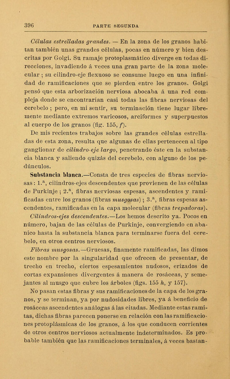 Células estrelladas grandes. — En la zona de los granos habi- tan también unas grandes células, pocas en número y bien des- critas por Golgi. Su ramaje protoplasmático diverge en todas di- recciones, invadiendo á veces una gran parte de la zona mole- cular ; su cilindro-eje flexuoso se consume luego en una infini- dad de ramificaciones que se pierden entre los granos. Golgi pensó que esta arborización nerviosa abocaba á una red com- pleja donde se encontrarían casi todas las fibras nerviosas del cerebelo ; pero, en mi sentir, su terminación tiene lugar libre- mente mediante extremos varicosos, arciformes y superpuestos al cuerpo de los granos (fig. 155, f). De mis recientes trabajos sobre las grandes células estrella- das de esta zona, resulta que algunas de ellas pertenecen al tipo ganglionar de cilindro-eje largo, penetrando éste en la substan- cia blanca y saliendo quizás del cerebelo, con alguno de los pe- dúnculos. Substancia blanca.—^Consta de tres especies de fibras nervio- sas : 1,*^, cilindros-ejes descendentes que provienen de las células de Purkinje ; 2.^, fibras nerviosas espesas, ascendentes y rami- ficadas entre los granos (fibras musgosas); 3.^, fibras espesas as- cendentes, ramificadas en la capa molecular (fibras trepadoras). Cilindros-ejes descendentes.—Los hemos descrito ya. Pocos en número, bajan de las células de Purkinje, convergiendo en aba- nico hasta la substancia blanca para terminarse fuera del cere- belo, en otros centros nerviosos. Fibras musgosas.—Gruesas, finamente ramificadas, las dimos este nombre por la singularidad que ofrecen de presentar, de trecho en trecho, ciertos espesamientos nudosos, erizados de cortas expansiones divergentes á manera de rosáceas, y seme- jantes al musgo que cubre los árboles (figs. 155 h, y 157). No pasan estas fibras y sus ramificaciones de la capa de los gra- nos, y se terminan, ya por nudosidades libres, ya á beneficio de rosáceas ascendentes análogas á las citadas. Mediante estas rami- tas, dichas fibras parecen ponerse en relación con las ramificacio- nes protoplásmicas de los granos, á los que conducen corrientes de otros centros nerviosos actualmente indeterminados. Es pro- bable también que las ramificaciones terminales, á veces bastan-