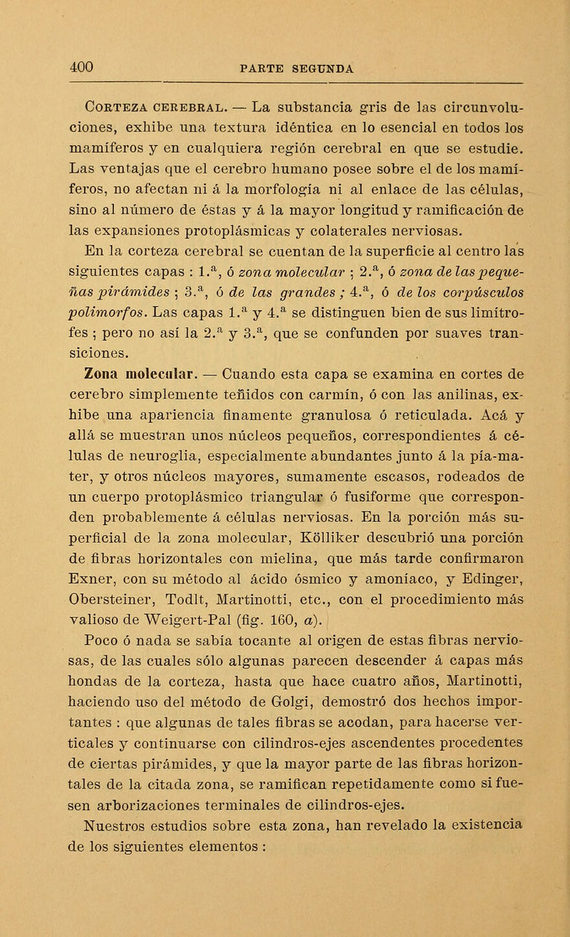 Corteza cerebral. — La substancia gris de las circunvolu- ciones, exhibe una textura idéntica en lo esencial en todos los mamíferos y en cualquiera región cerebral en que se estudie. Las ventajas que el cerebro humano posee sobre el de los mamí- feros, no afectan ni á la morfología ni al enlace de las células, sino al número de éstas y á la mayor longitud y ramificación de las expansiones protoplásmicas y colaterales nerviosas. En la corteza cerebral se cuentan de la superficie al centro las siguientes capas : 1.^, ó zona molecular ; 2.^, ó zona de las peque- ñas pirámides ; 3.^, ó de las grandes ; 4.*^, ó de los corpúsculos polimorfos. Las capas 1.^ y 4.^ se distinguen bien de sus limítro- fes ; pero no así la 2.^ y 3.^, que se confunden por suaves tran- siciones. Zona molecular. — Cuando esta capa se examina en cortes de cerebro simplemente teñidos con carmín, ó con las anilinas, ex- hibe una apariencia finamente granulosa ó reticulada. Acá y allá se muestran unos núcleos pequeños, correspondientes á cé- lulas de neuroglia, especialmente abundantes junto á la pía-ma- ter, y otros núcleos mayores, sumamente escasos, rodeados de un cuerpo protoplásmico triangular ó fusiforme que correspon- den probablemente á células nerviosas. En la porción más su- perficial de la zona molecular, Kolliker descubrió una porción de fibras horizontales con mielina, que más tarde confirmaron Exner, con su método al ácido ósmico y amoníaco, y Edinger, Obersteiner, Todlt, Martinotti, etc., con el procedimiento más valioso de Weigert-Pal (fig. 160, a). Poco ó nada se sabía tocante al origen de estas fibras nervio- sas, de las cuales sólo algunas parecen descender á capas más hondas de la corteza, hasta que hace cuatro años, Martinotti, haciendo uso del método de Golgi, demostró dos hechos impor- tantes : que algunas de tales fibras se acodan, para hacerse ver- ticales y continuarse con cilindros-ejes ascendentes procedentes de ciertas pirámides, y que la mayor parte de las fibras horizon- tales de la citada zona, se ramifican repetidamente como si fue- sen arborizaciones terminales de cilindros-ejes. Nuestros estudios sobre esta zona, han revelado la existencia de los siguientes elementos :